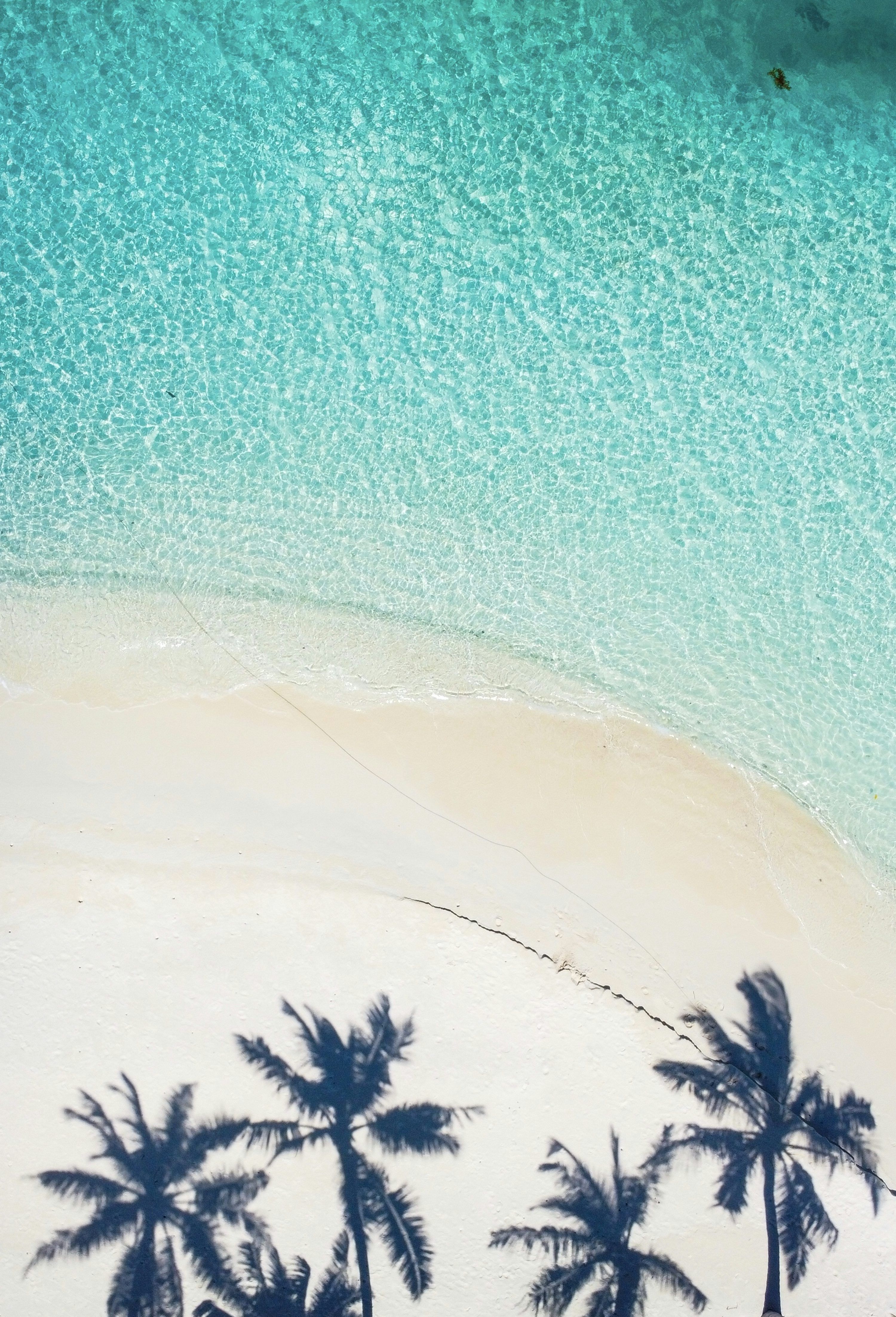 3000x4408 Egypt Beach Picture. Download Free Image