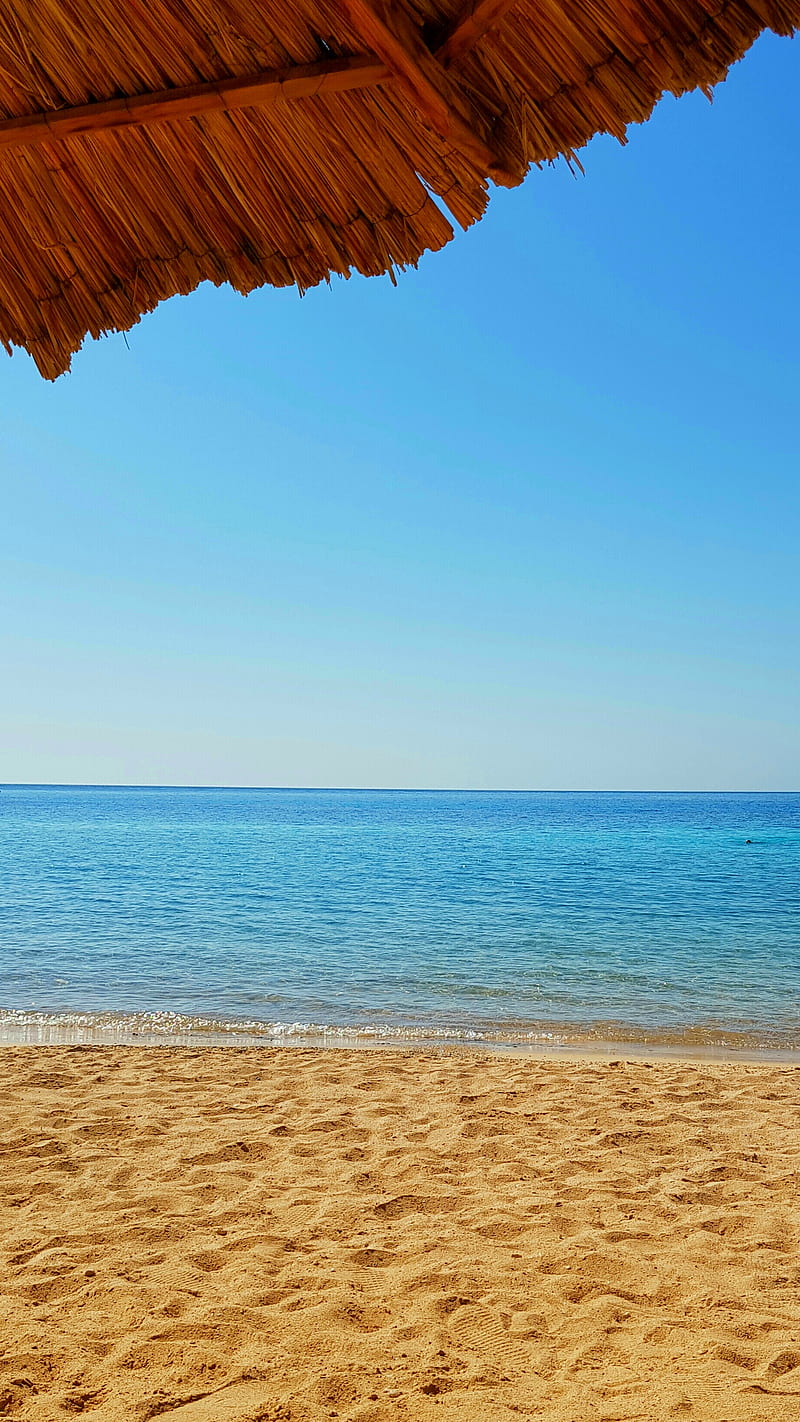 800x1422 Beach, beauty, egypt, nature, HD phone wallpaper