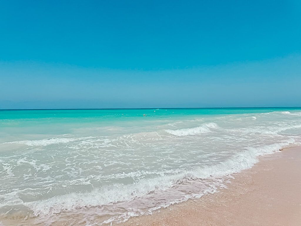 1024x768 Sahel's North Coast (ENG) Blonde Pineapple