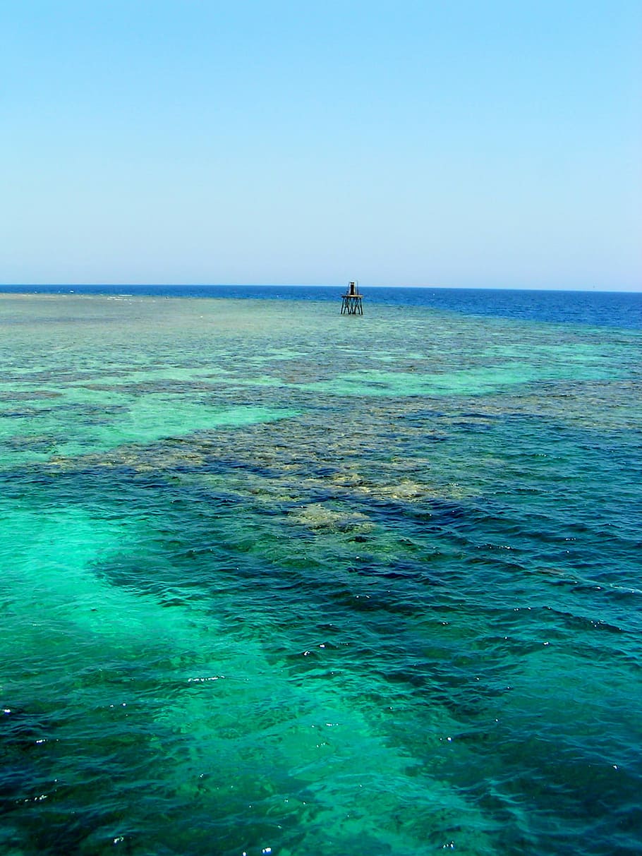 910x1213 HD wallpaper: Egypt, Red Sea, Diving, Holiday, coral reef, horizon over water