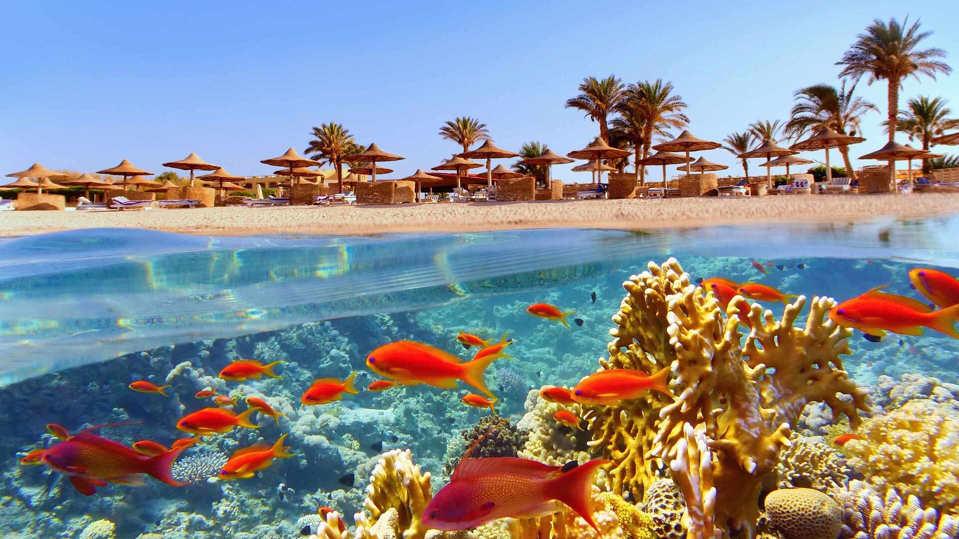 1920x1080 Holidays in Egypt tips & cheap offers ☀