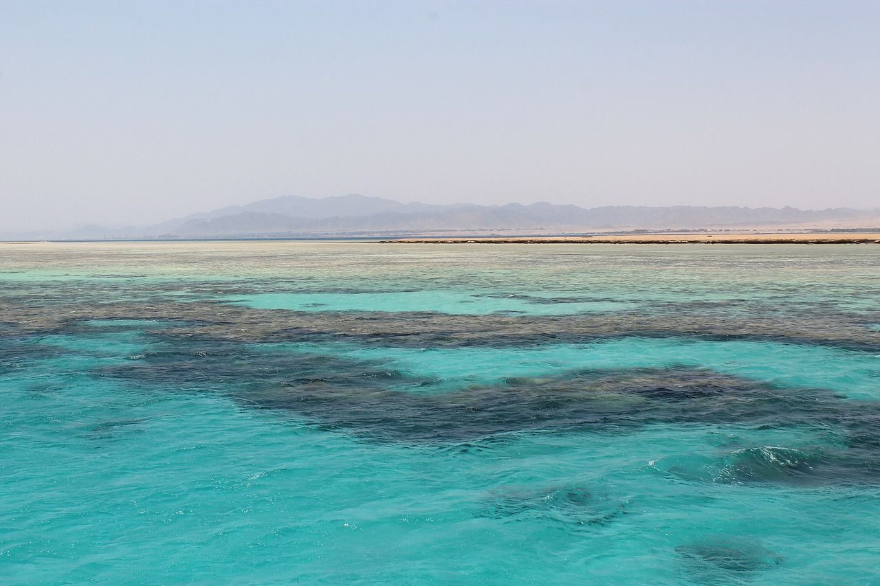 1280x853 Sea, red sea, egypt, vacation, summer