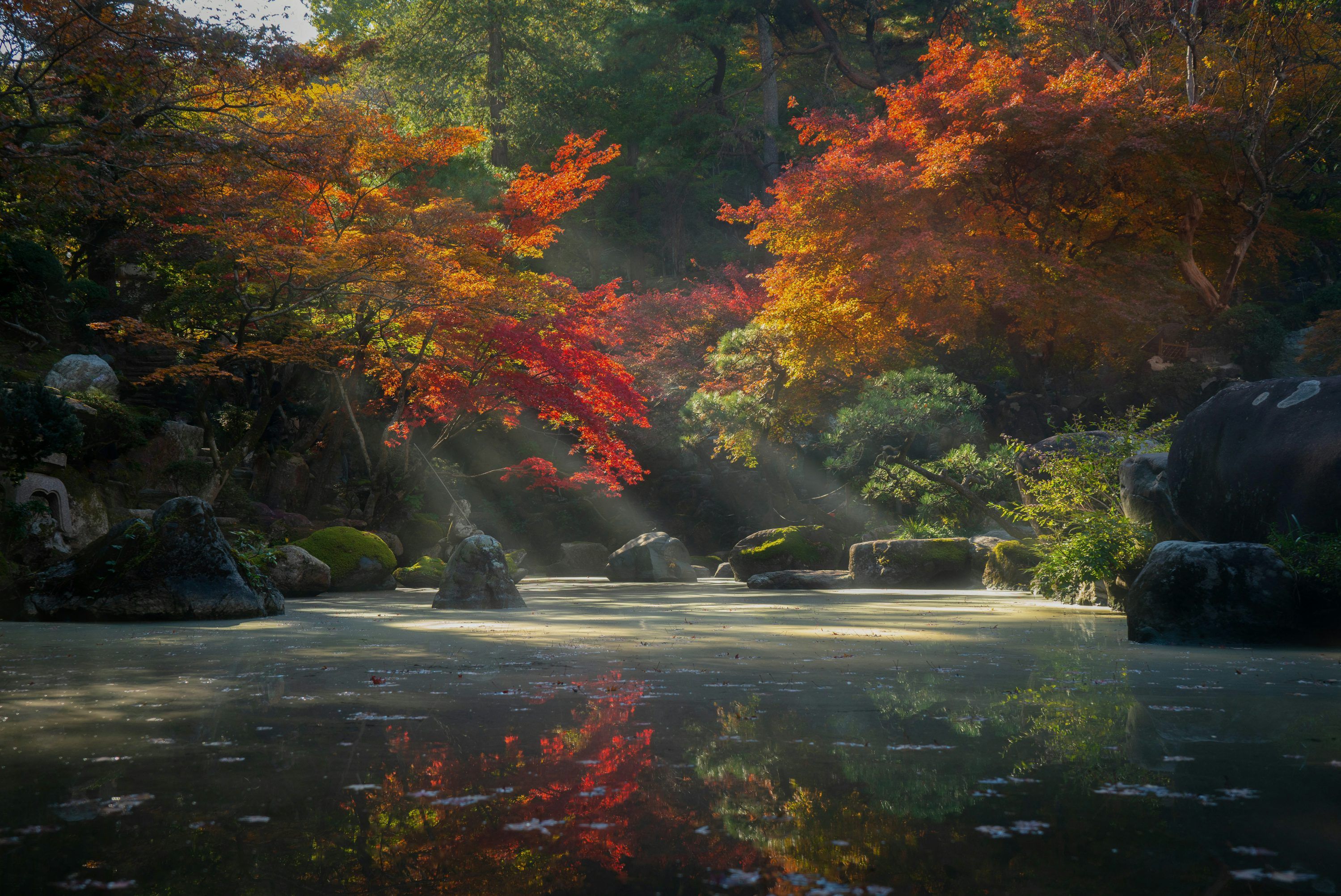 3000x2005 Zen Wallpaper Picture. Download Free Image