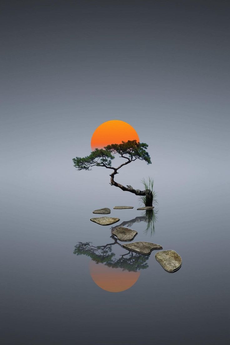 736x1104 Zen landscape wallpaper. Sun tree wallpaper, Peaceful picture zen, Android wallpaper nature