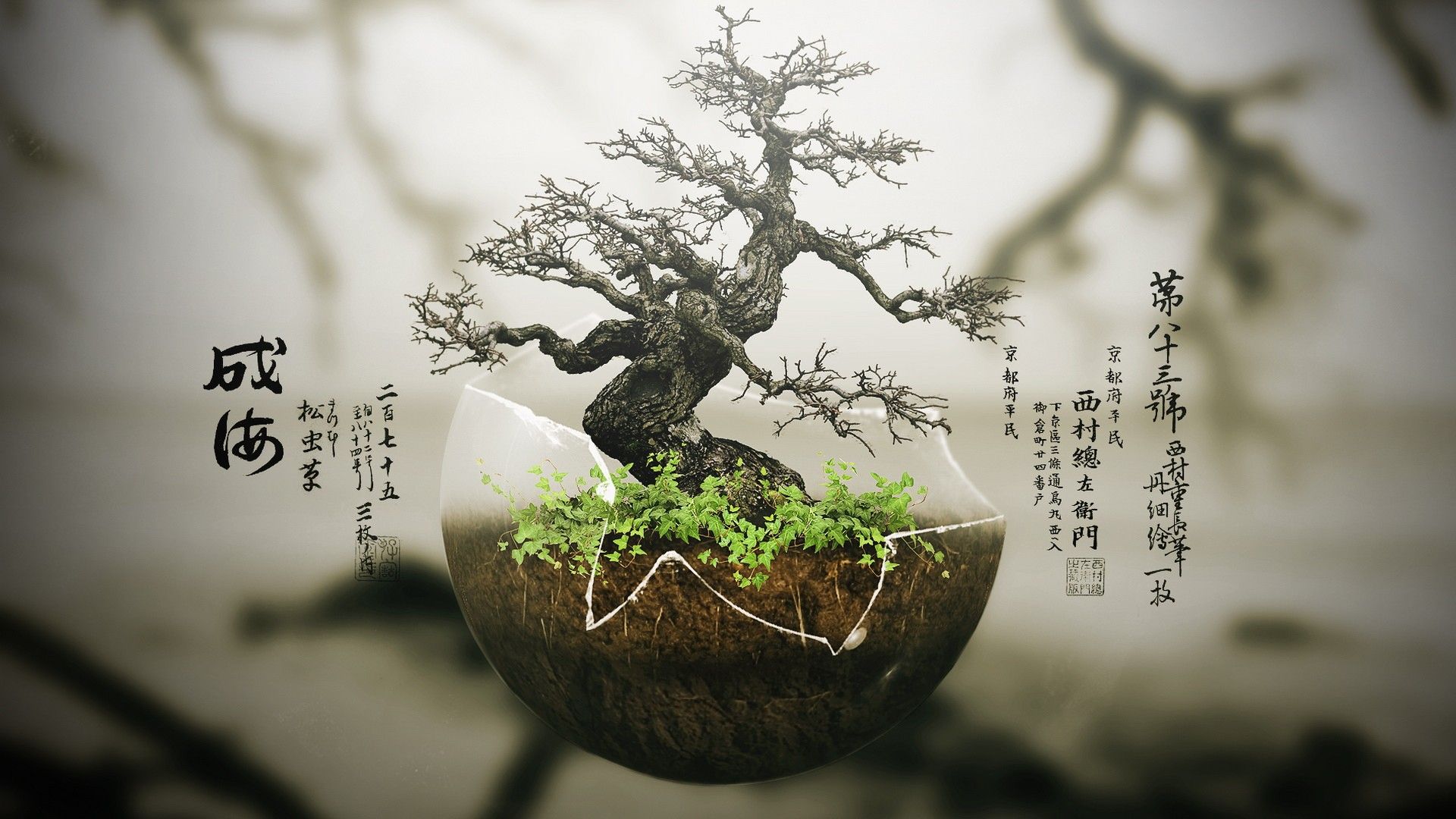 1920x1080 Nature's Bonsai HD Wallpaperx1080