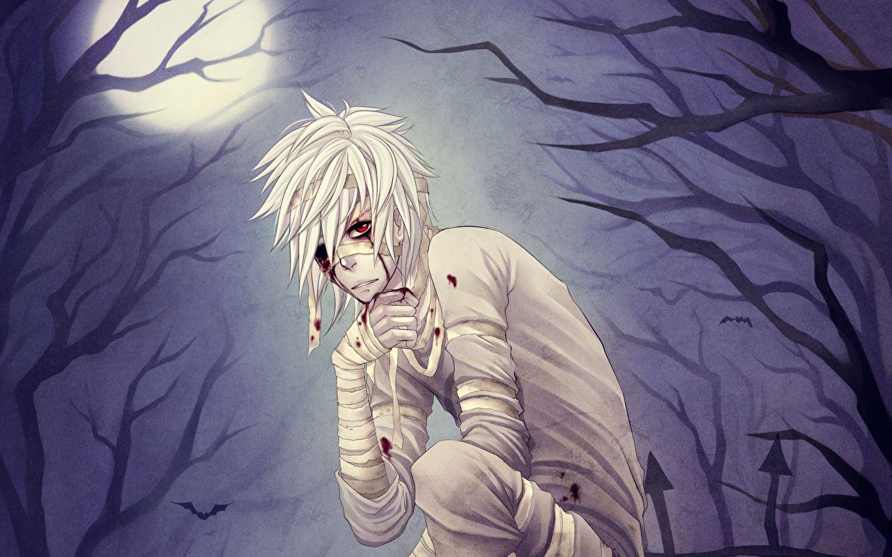 1280x800 Picture Young man Anime