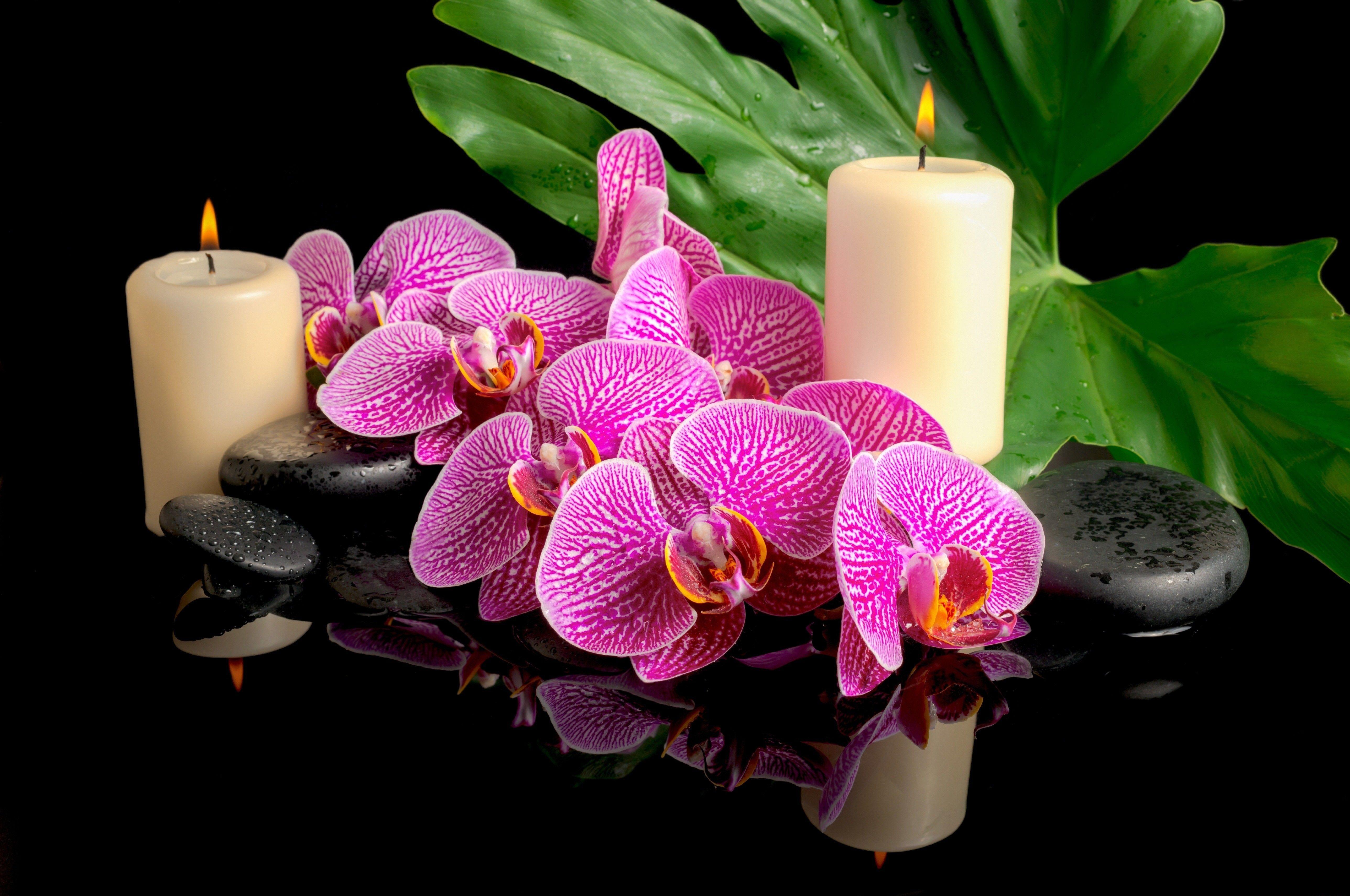 5152x3419 still life, flower, light, blossoms, candles wallpaper