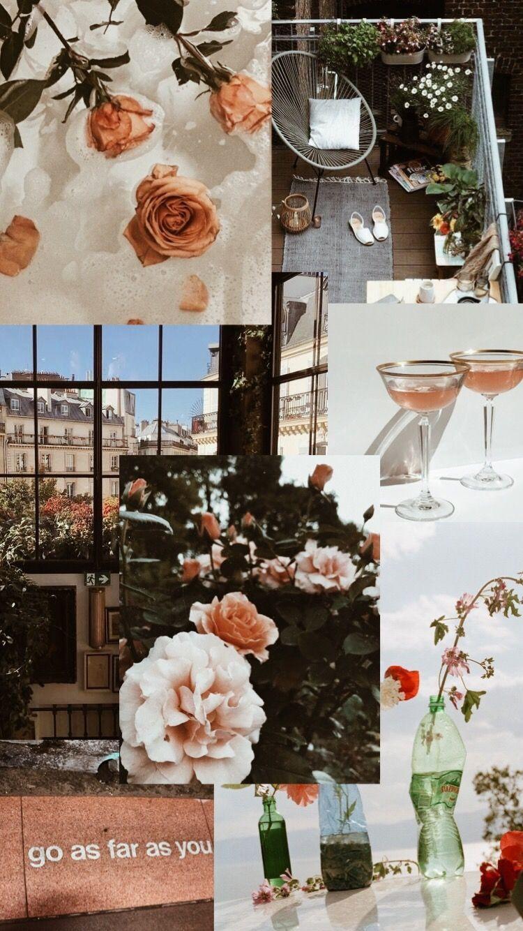 Collage Flower iPhone HD Wallpapers Top Free Collage Flower iPhone HD