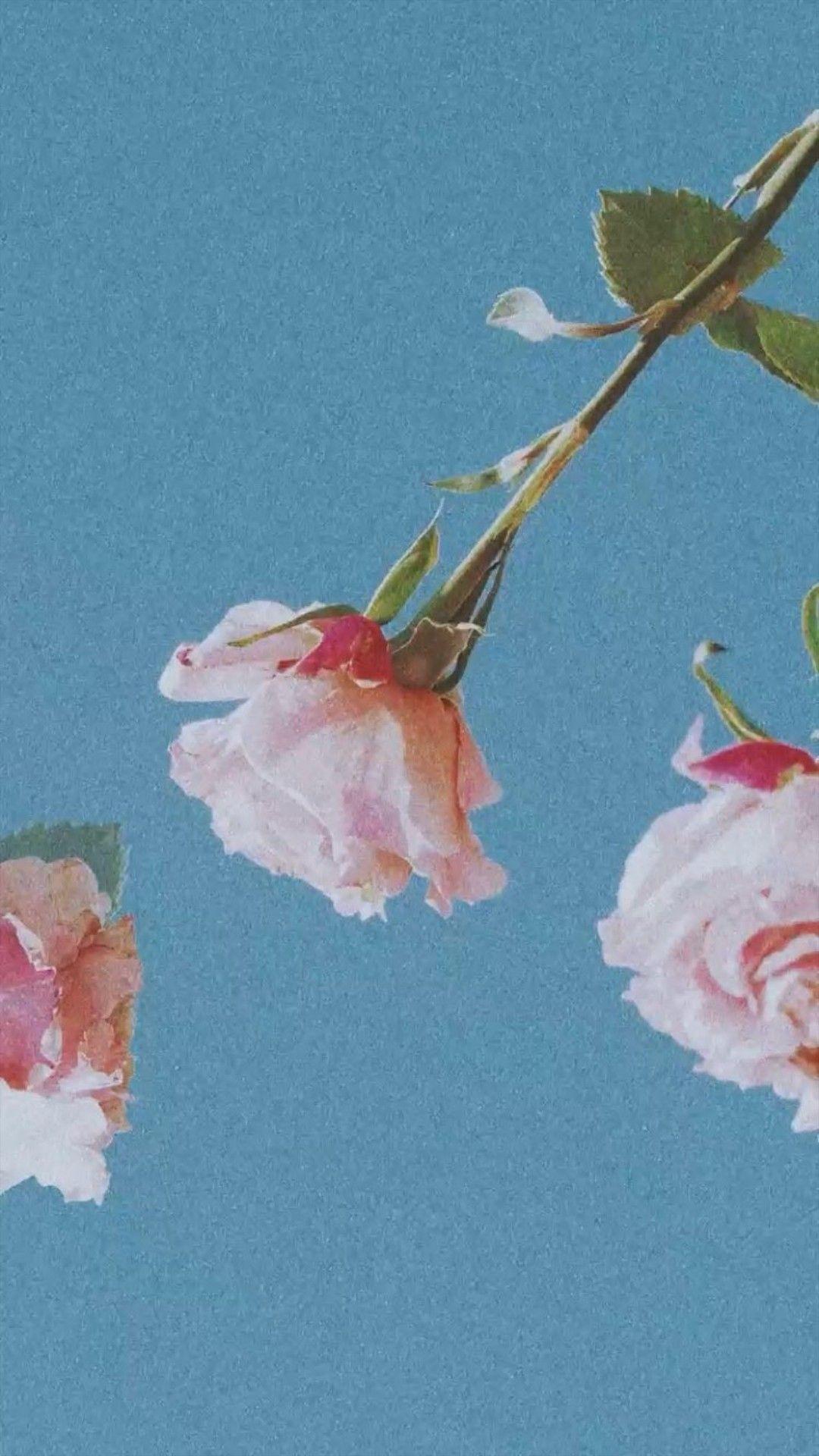 1080x1920 New eraaa