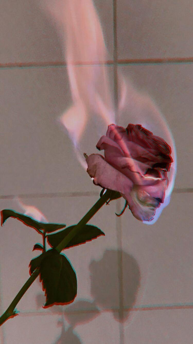 750x1333 Flowers iPhone Wallpaper Tumblr. ipcwallpaper. Best flower wallpaper, Aesthetic wallpaper, Flower wallpaper