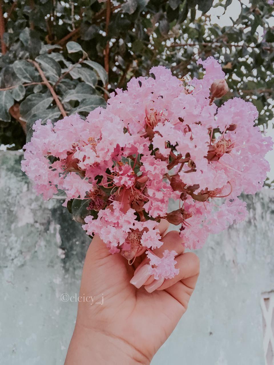 960x1280 Gentle and Pleasing Floral Wallpaper. Floral wallpaper, Photo wall collage, Flower wallpaper