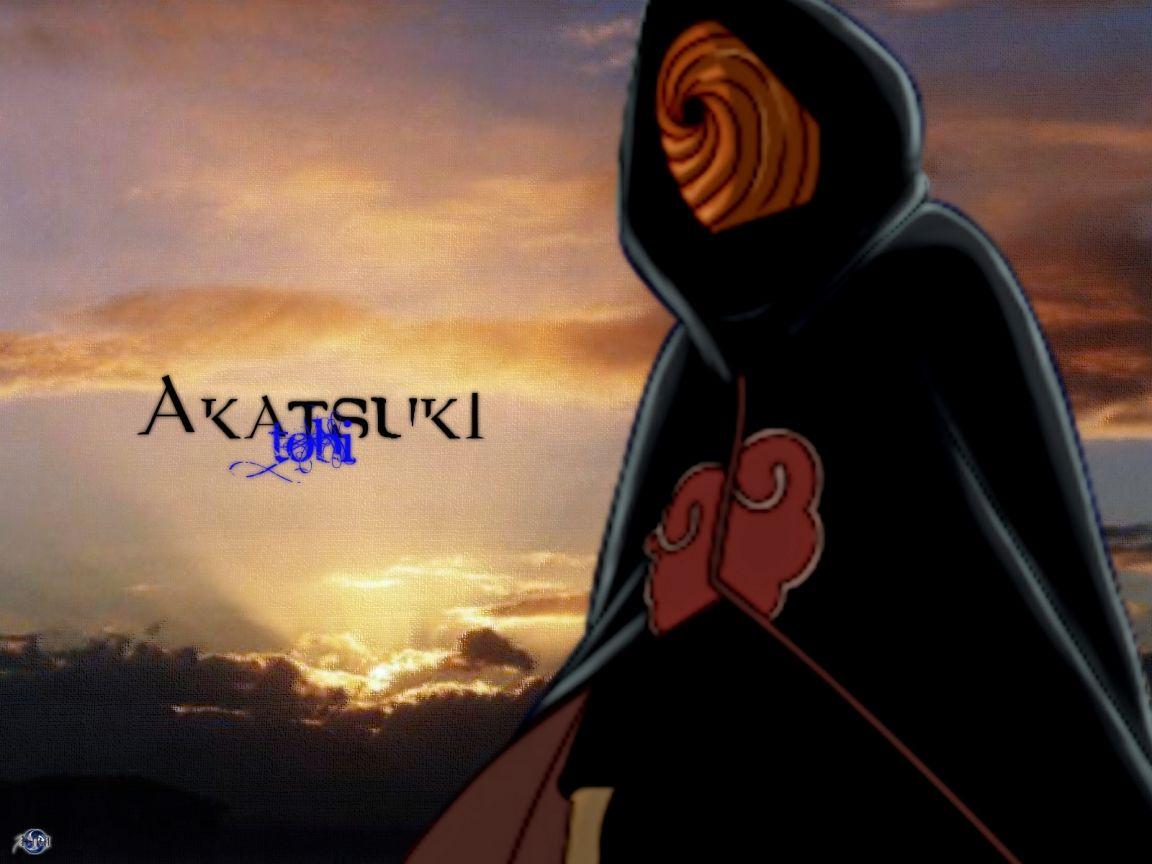 1152x864 Tobi Wallpaper