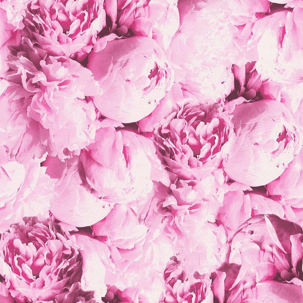 1000x1000 AS Creation New Studio Romantic Flower Floral Wallpaper Pink, Purple from I Love Wallpaper UK