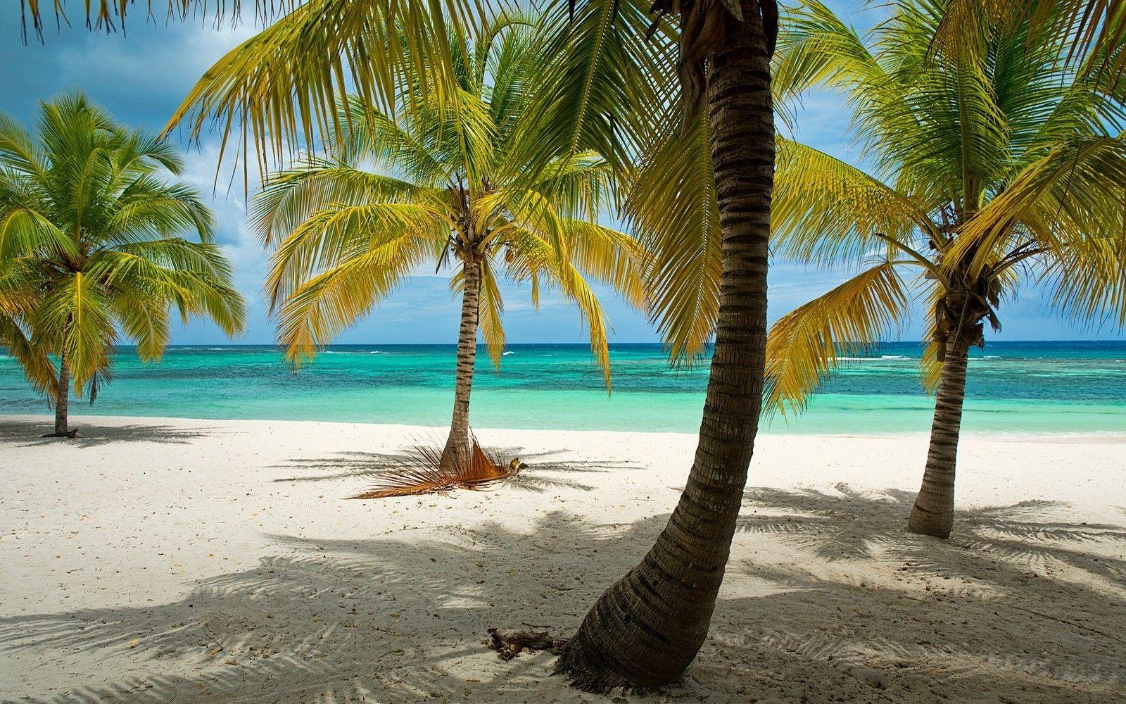 1600x1000 Dominican Republic Island Background HD Wallpaper