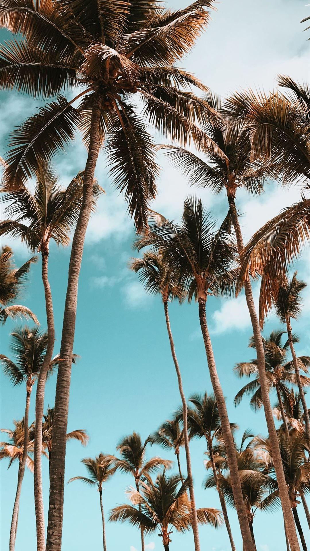 1080x1920 Best dominican republic iPhone 8 Wallpaper HD