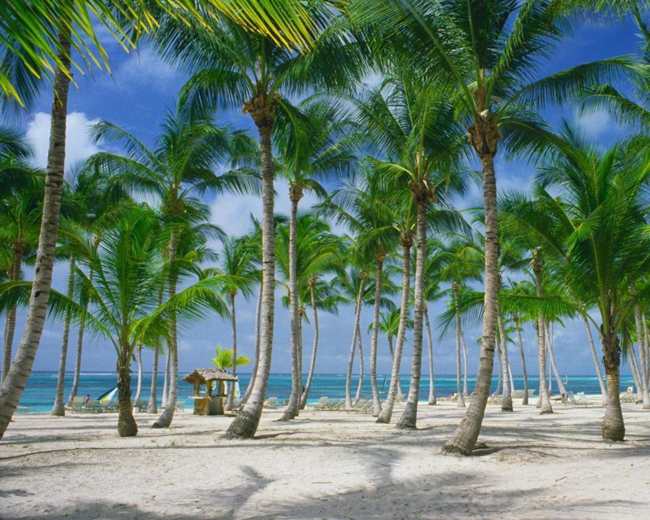 1280x1024 Dominican Republic Wallpaper for Android