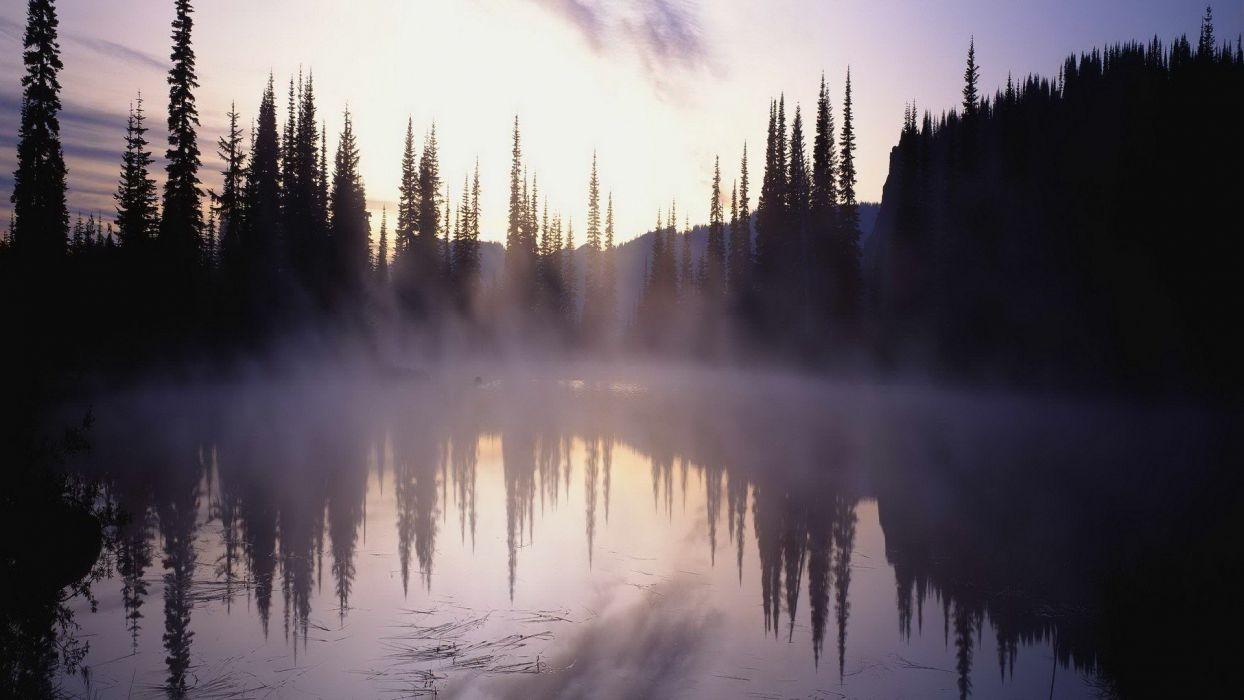 1244x700 Nature Tree Fog Lake wallpaperx1080