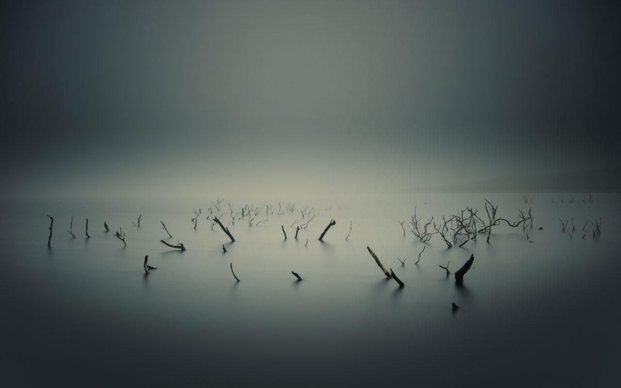 1280x800 Picalls.com. Fog on Lake Eerie