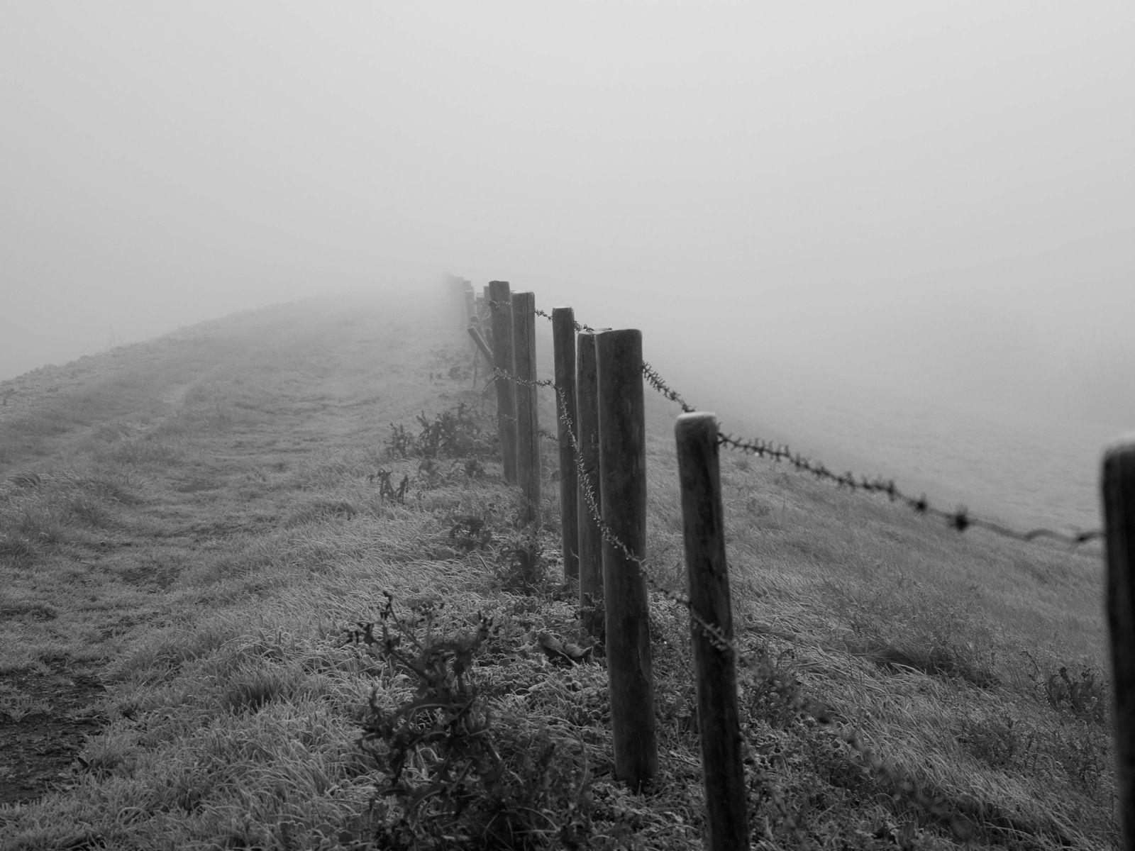 1600x1200 Black And White Fog Foggy Farm Mist Wallpaper.com. Best High Quality Wallpaper