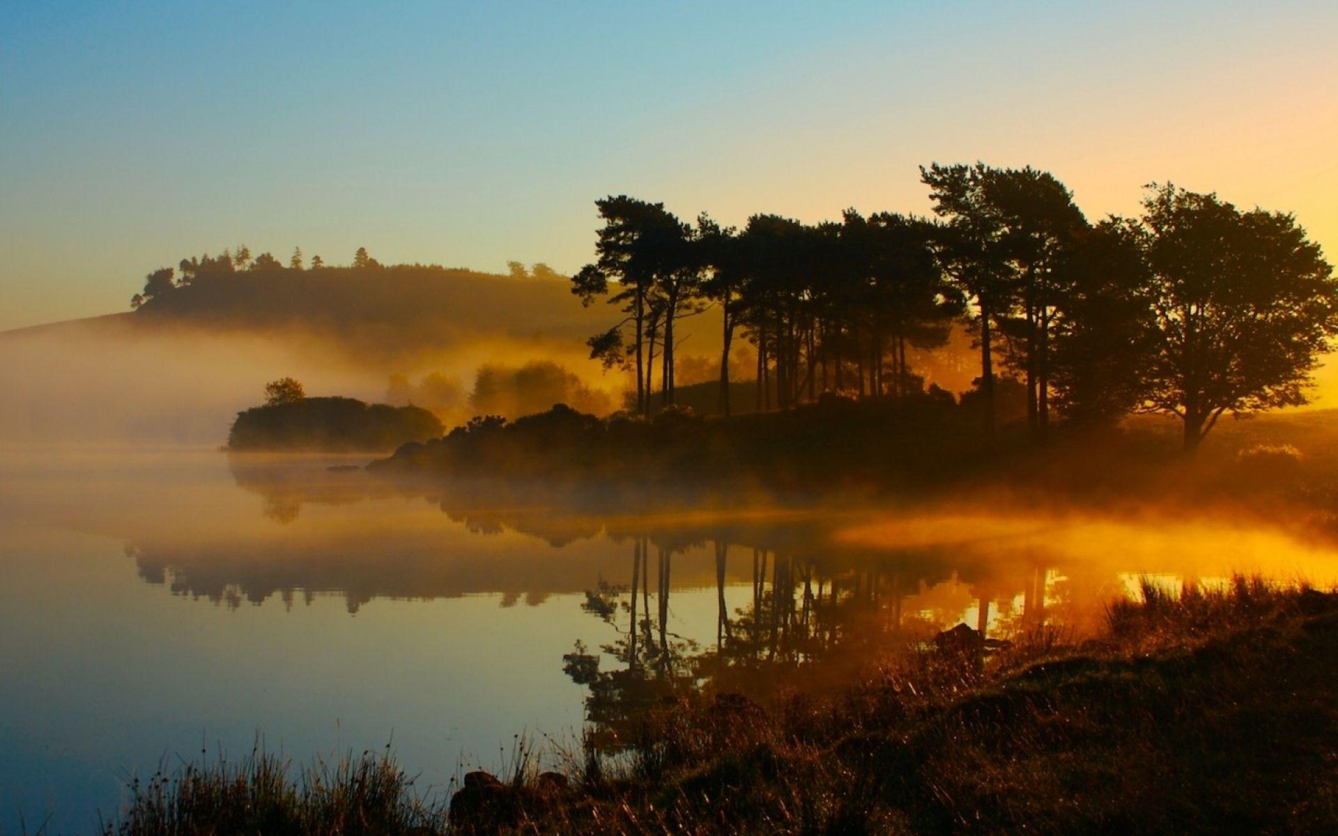 1920x1200 Forest Sunset Fog Lake & Grass wallpaper. Forest Sunset Fog Lake & Grass