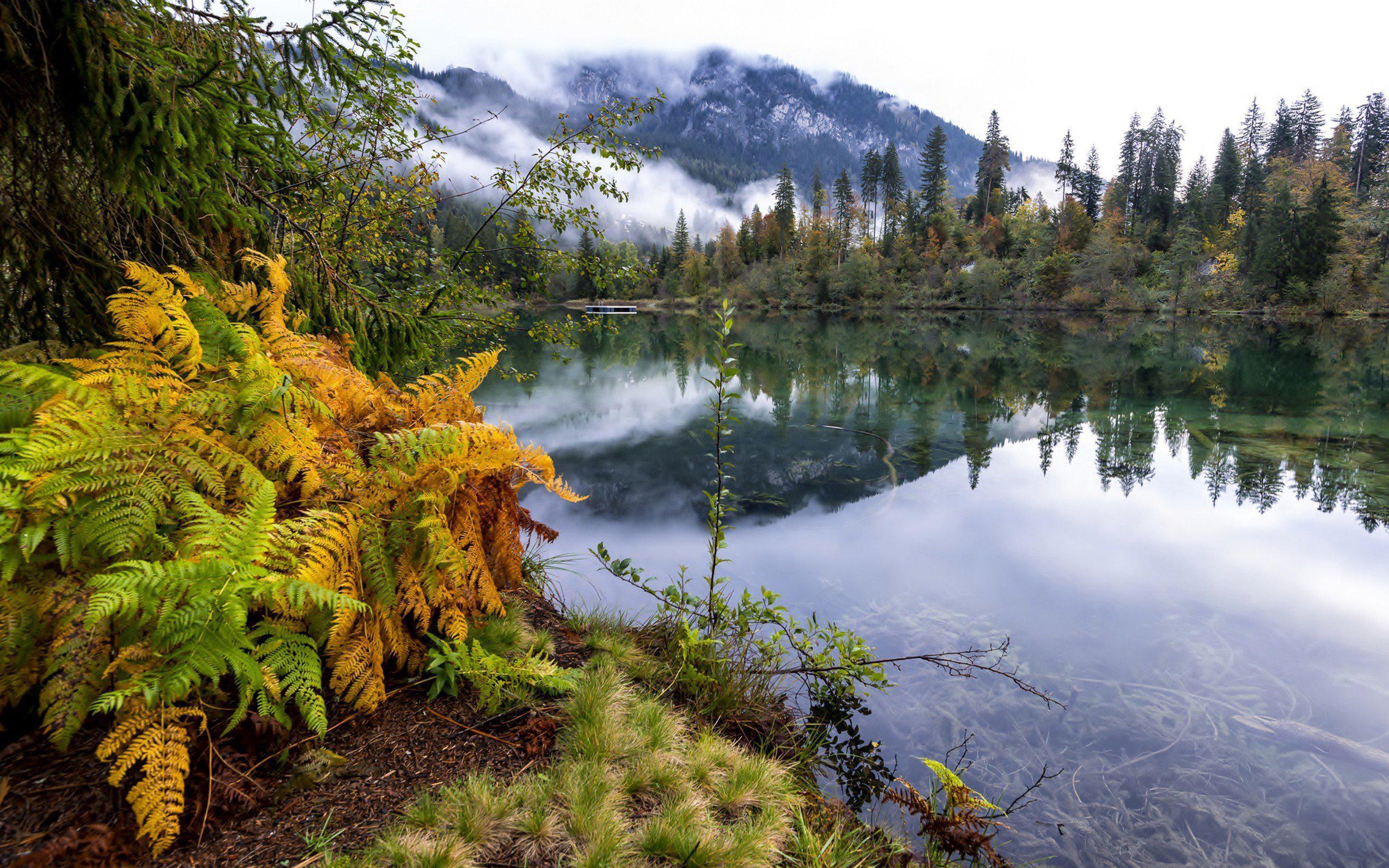 2560x1600 Nature Mountain Forest Landscape Fog Lake Ultrahd 4k HD Nature Wallpaper Forest HD Wallpaper
