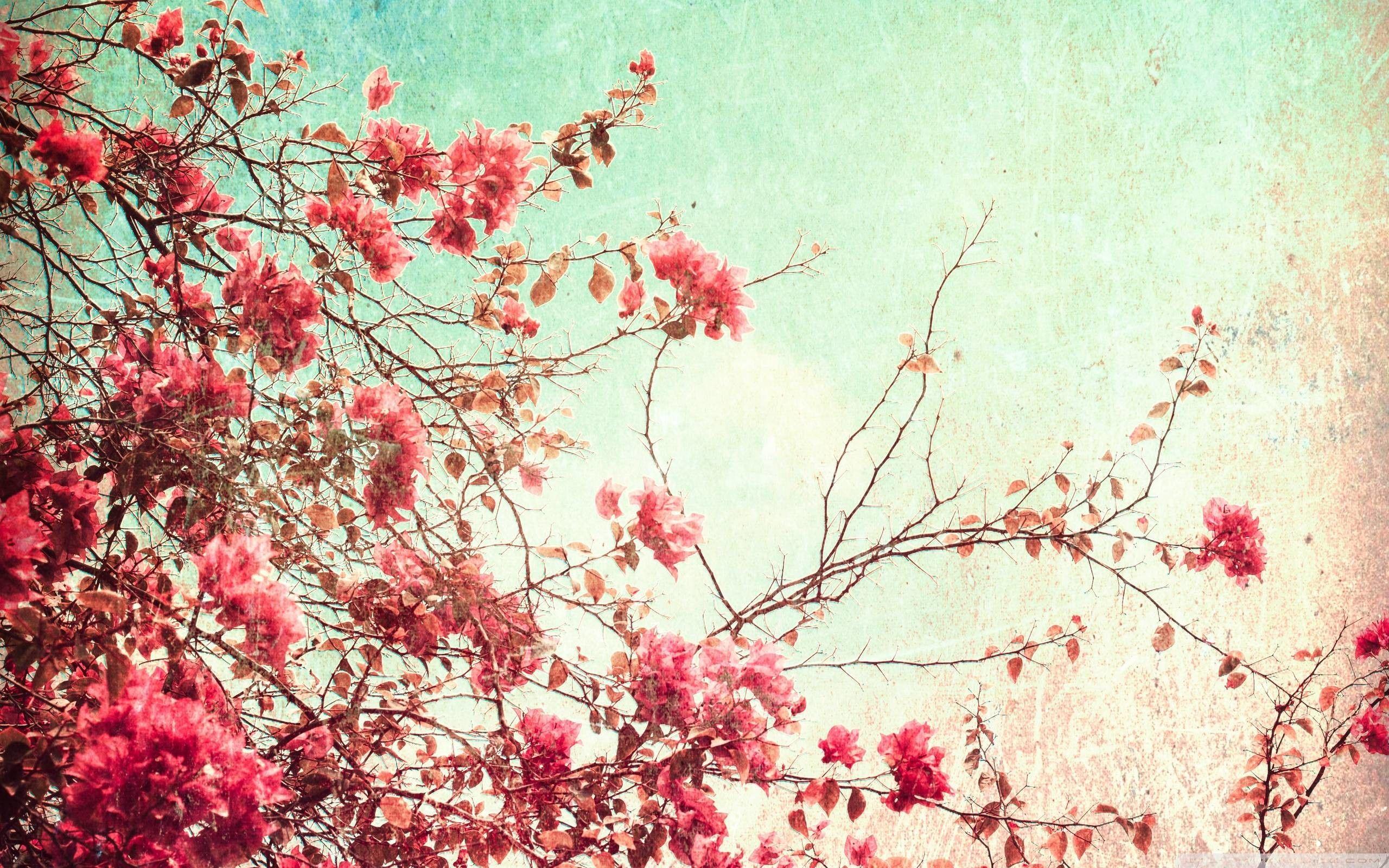 2560x1600 Vintage Flowers Wallpaper