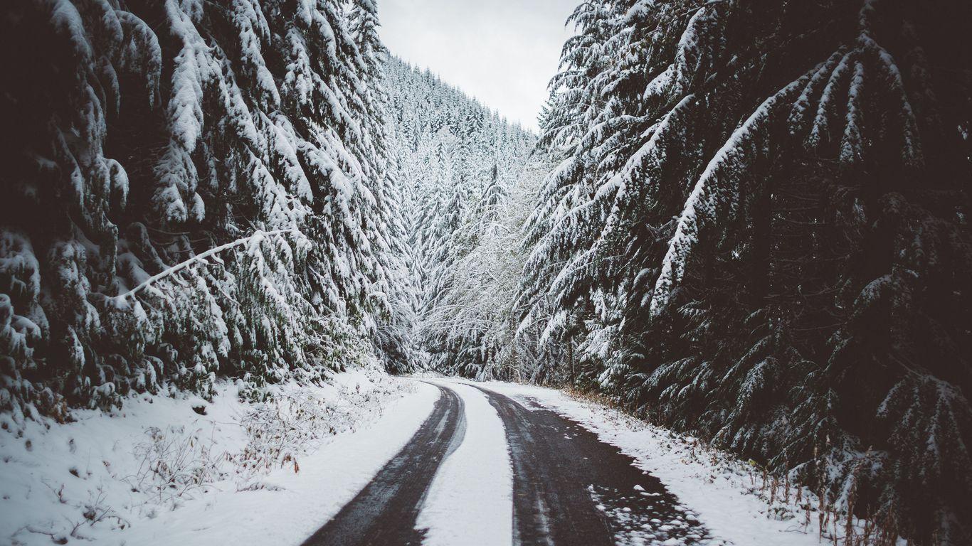1366x768 Download wallpaper 1366x768 road, snow, trees, winter tablet, laptop HD background