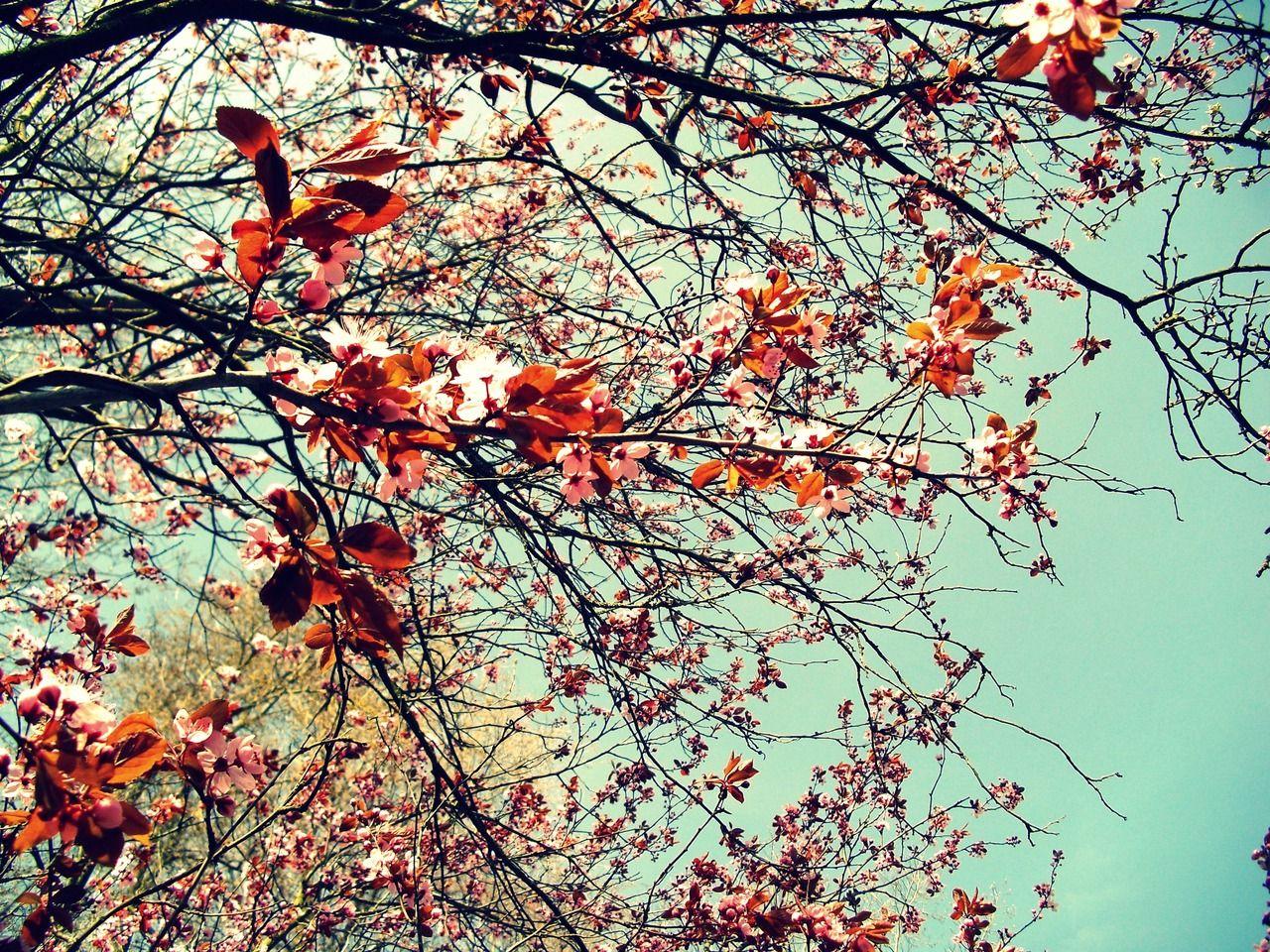 1280x960 vintage wallpaper tumblr Desktop Wallpaperk HD