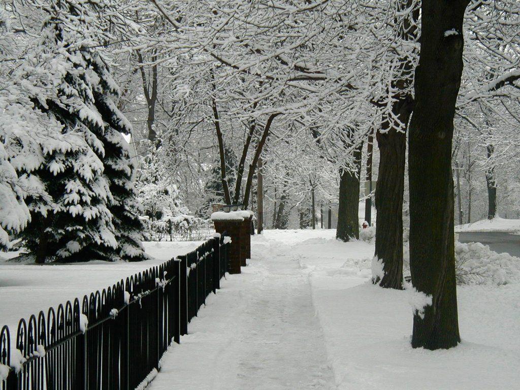 1024x768 Winter Wallpaper For Desktop Background Wallpaper