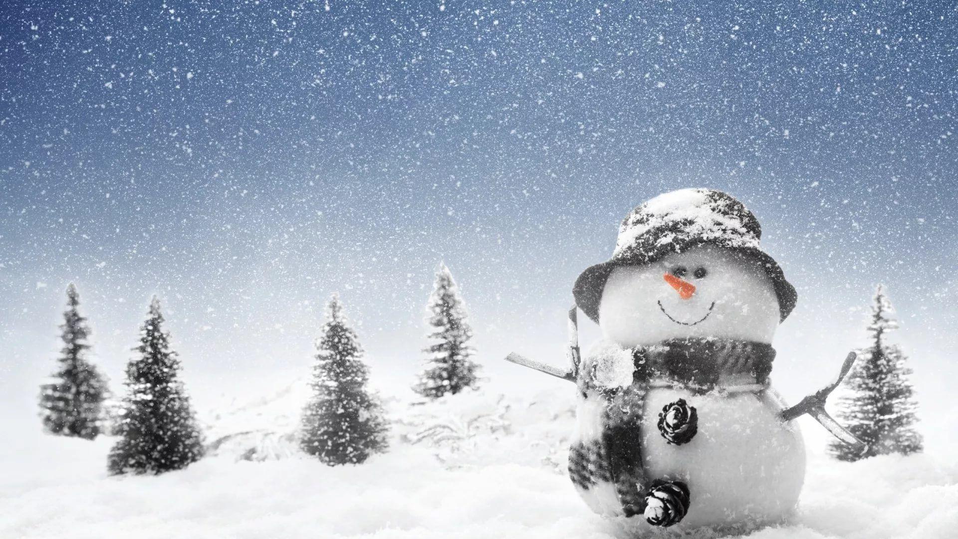 1920x1080 Cute Winter Wallpaper