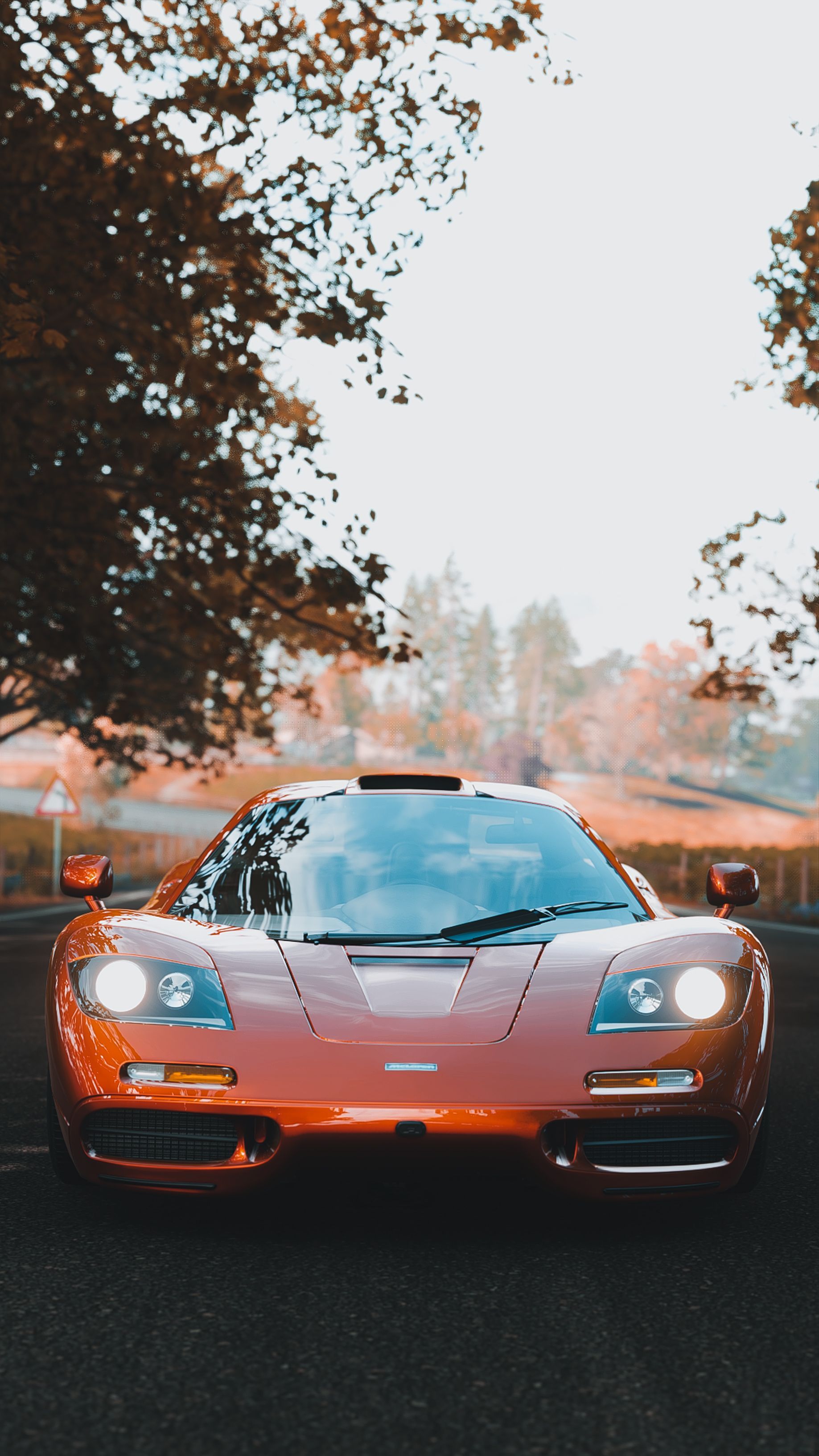 1837x3265 A Beautiful McLaren F1 LM on the Road · Free