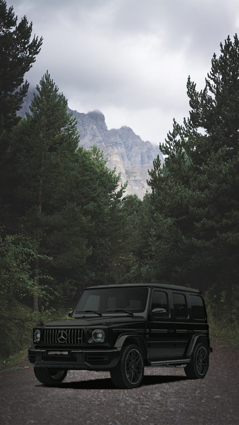 800x1422 Forest G Wagon, Mountain, Road, Mercedes, Mercedes Benz, Merc, Offroad, Track, HD Phone Wallpaper