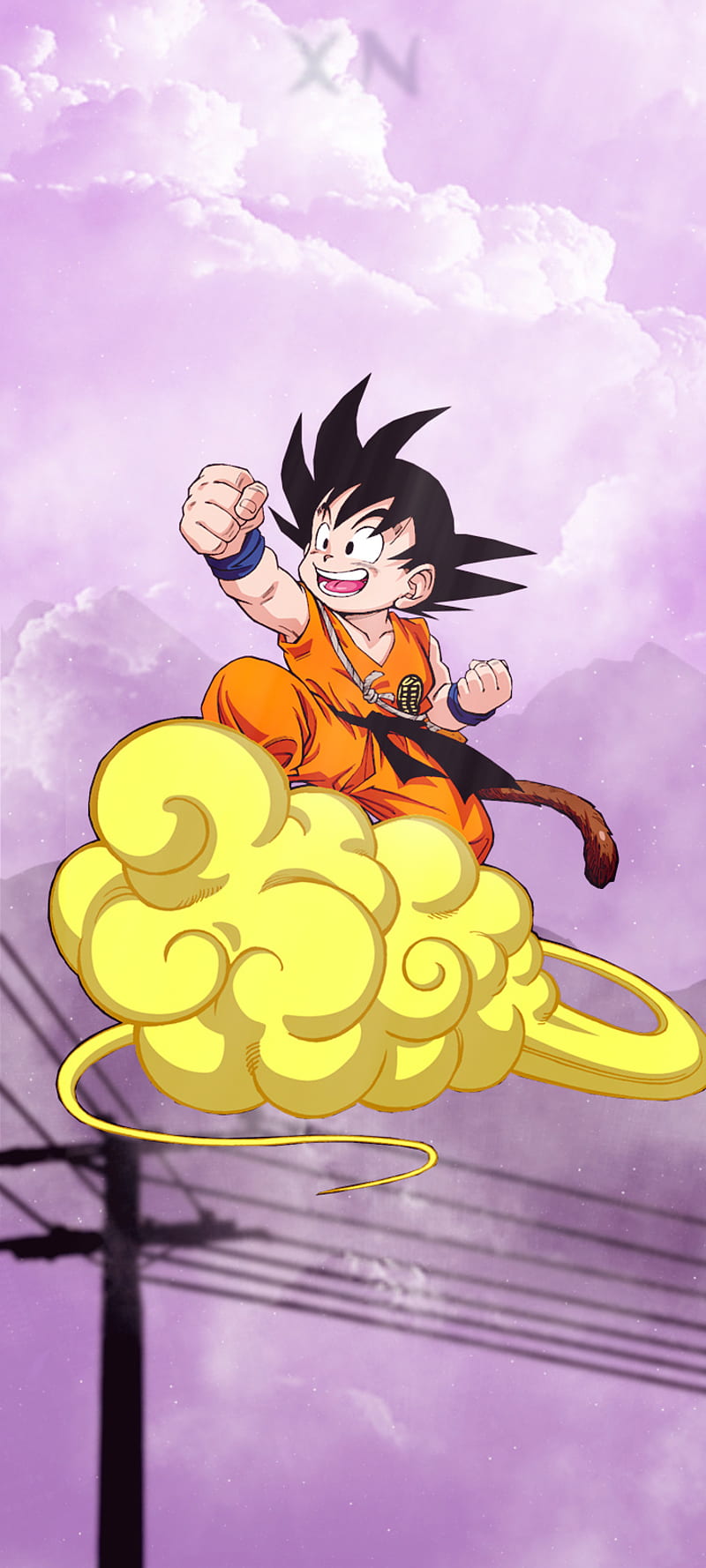800x1778 HD kid goku flying wallpaper