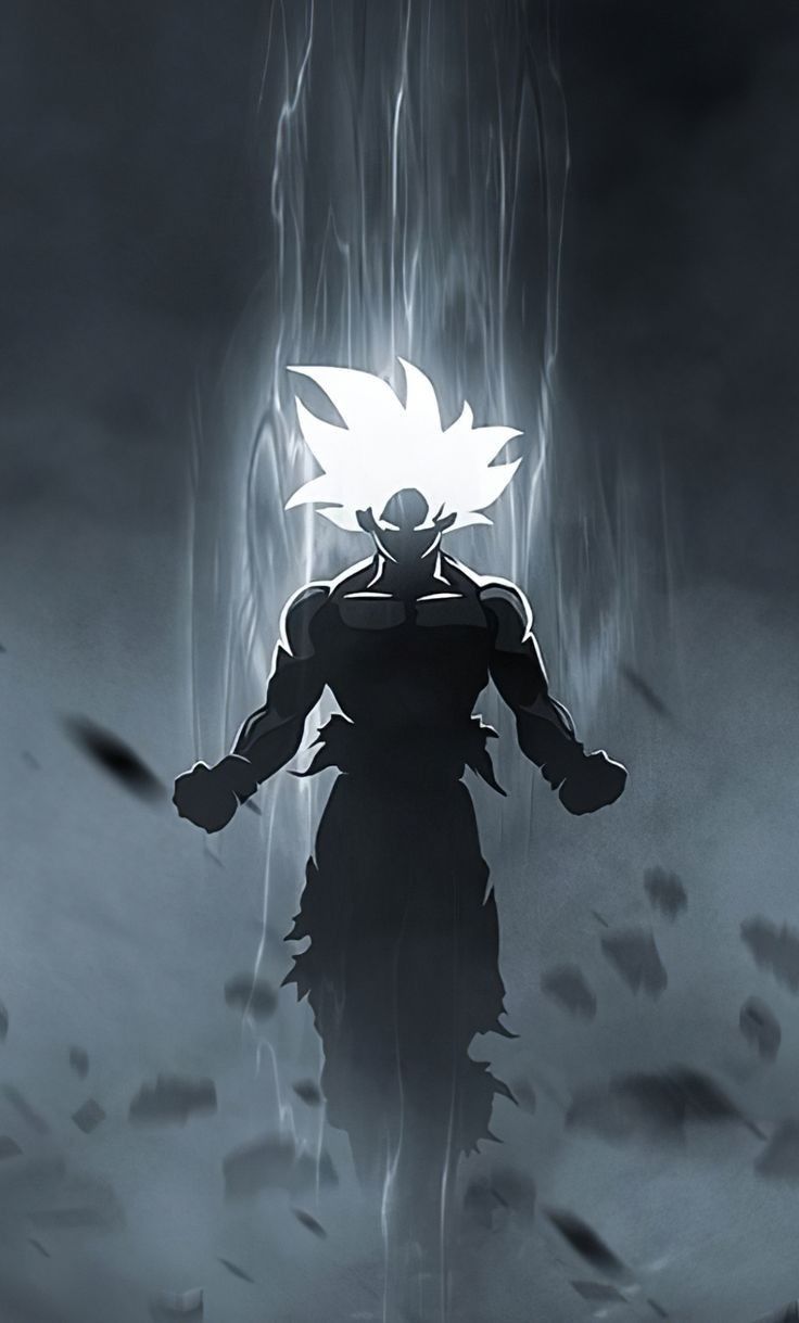 736x1219 Dark Art of Goku