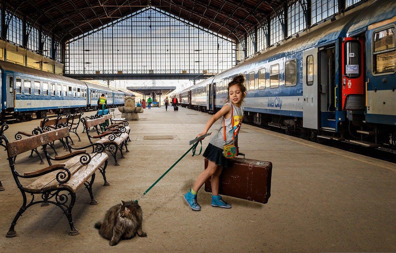 1332x850 Wallpaper cat, train, cars, the platform, girl, suitcase image for desktop, section ситуации