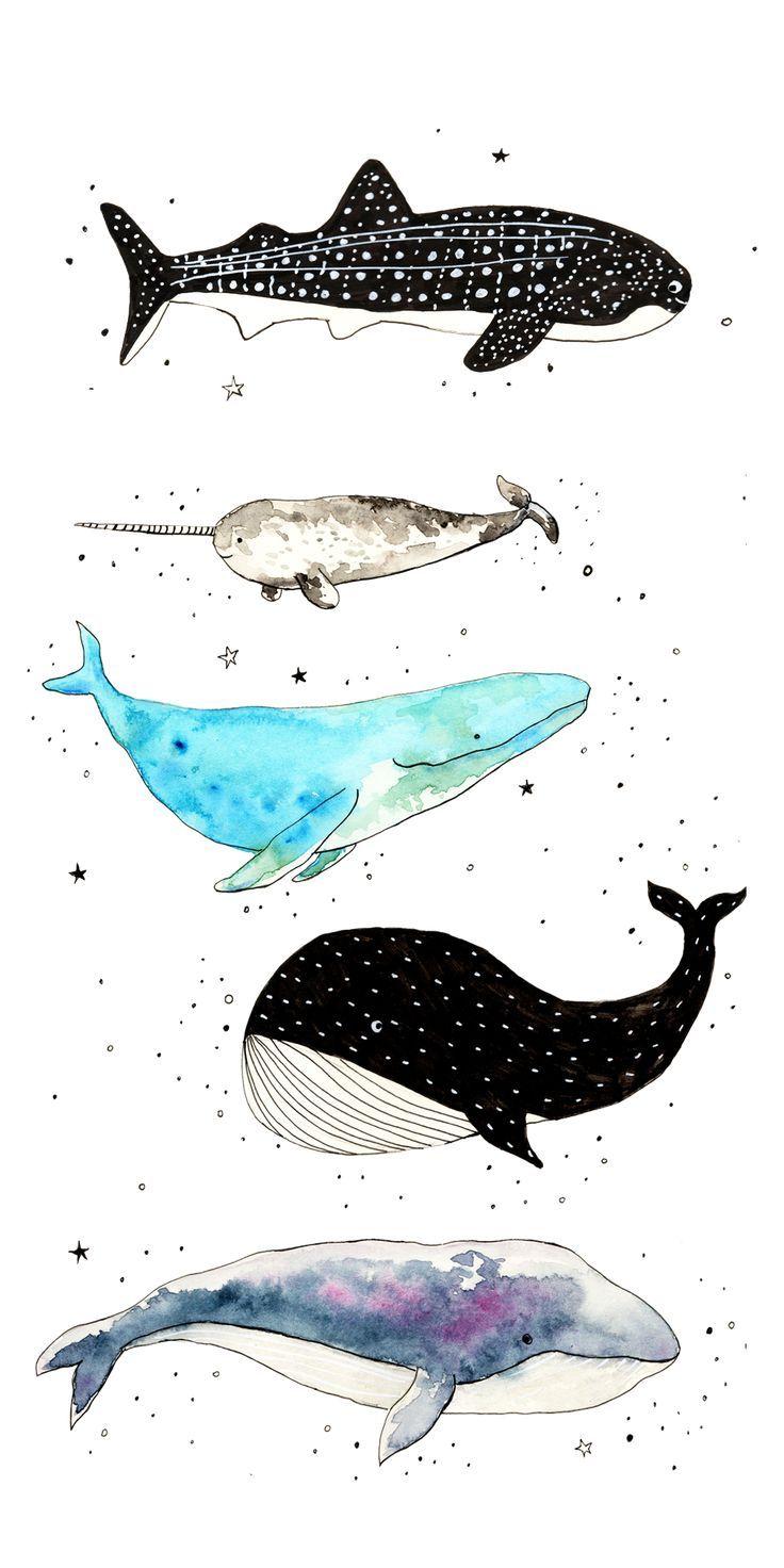 736x1472 Casetify #iPhone #Art #Design #Animals #Illustration #ideas #wallpaper #cute #whale. Art wallpaper iphone, iPhone art, Painting wallpaper