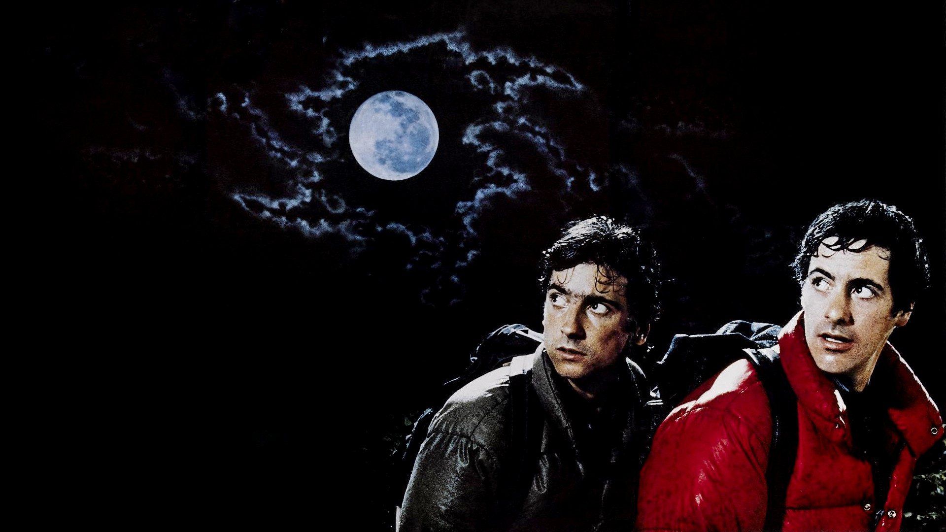 1920x1080 Download Movie An American Werewolf In London (1981) HD Wallpaperx1080