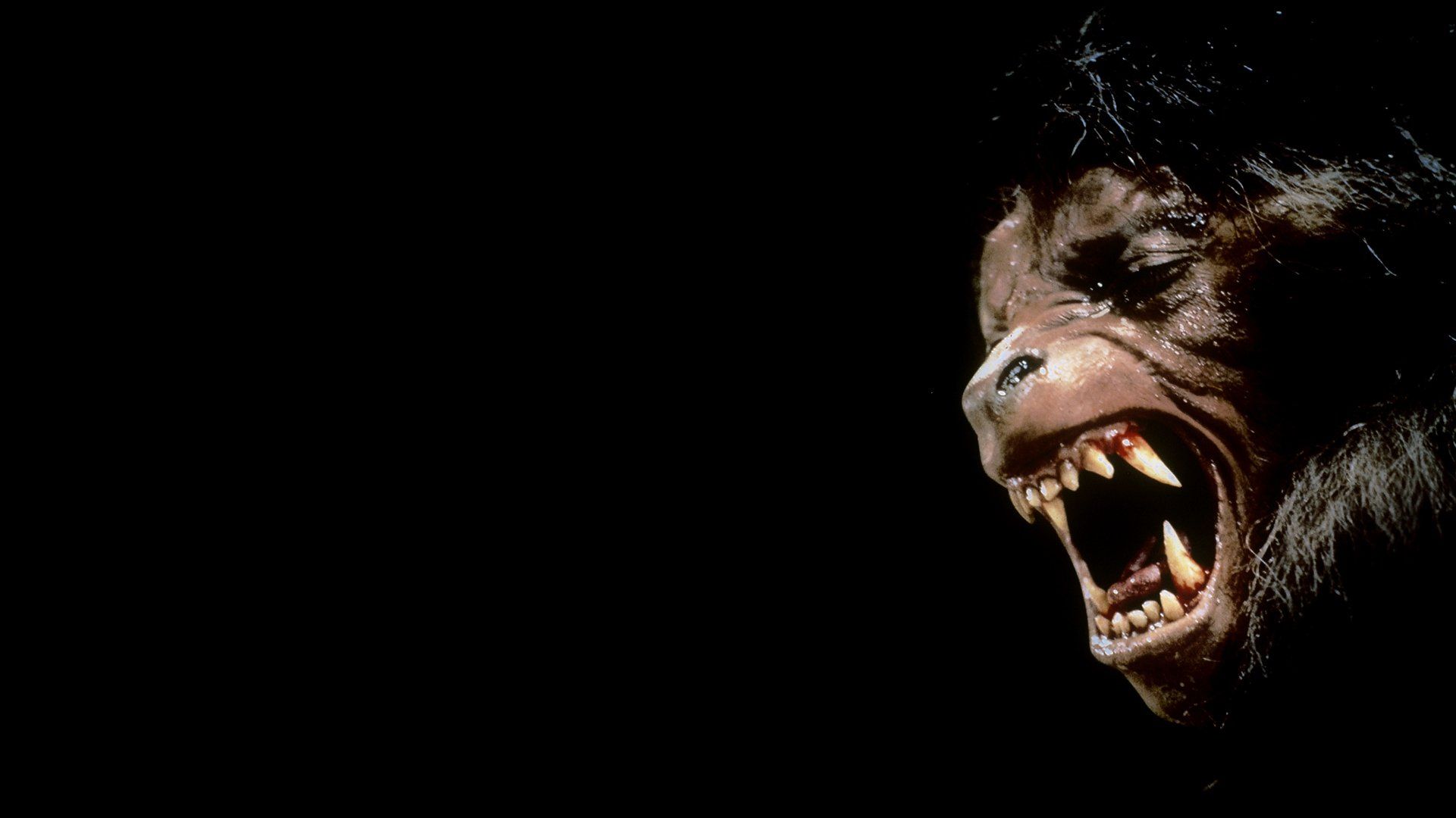 1920x1080 Download Movie An American Werewolf In London (1981) HD Wallpaperx1080