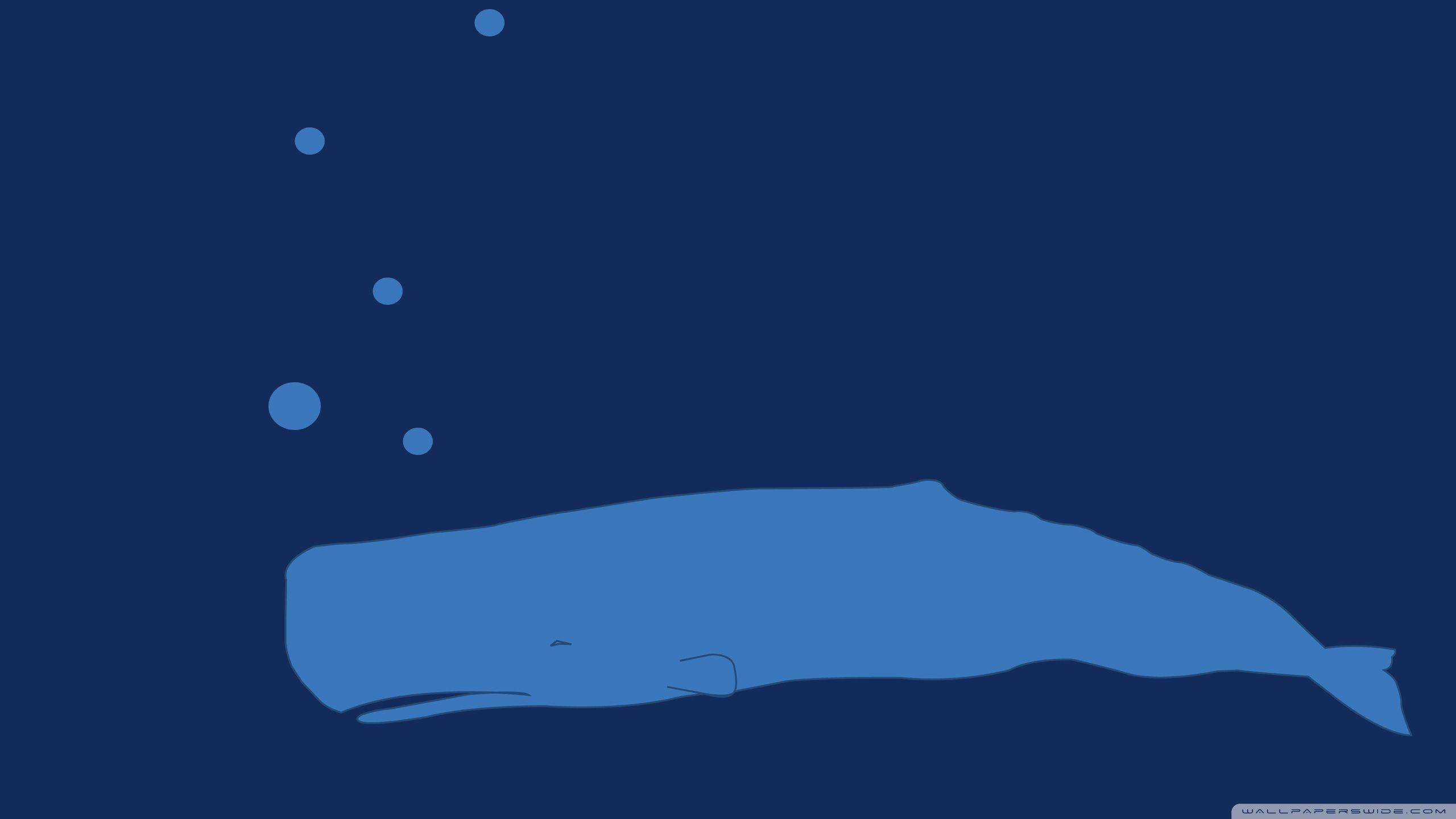 2560x1440 Whale Underwater Cartoon Ultra HD Desktop Background Wallpaper for 4K UHD TV : Multi Display, Dual Monitor : Tablet