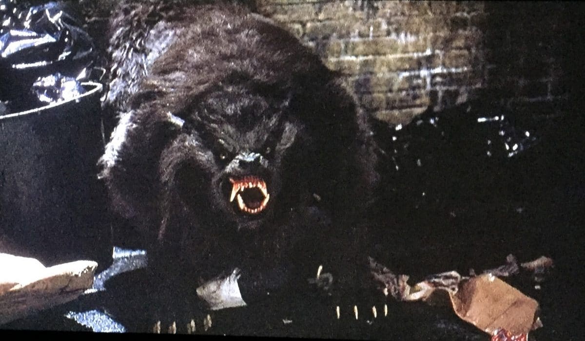 1200x701 An American Werewolf in London: Werewolf Horror at Its Finest