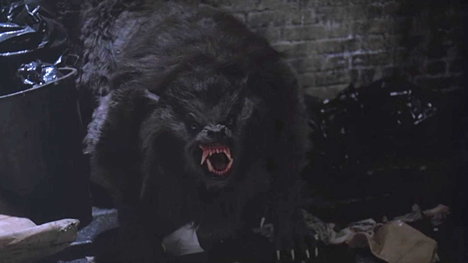 1600x900 How American Werewolf in London Created the Oscars' Best Makeup Category