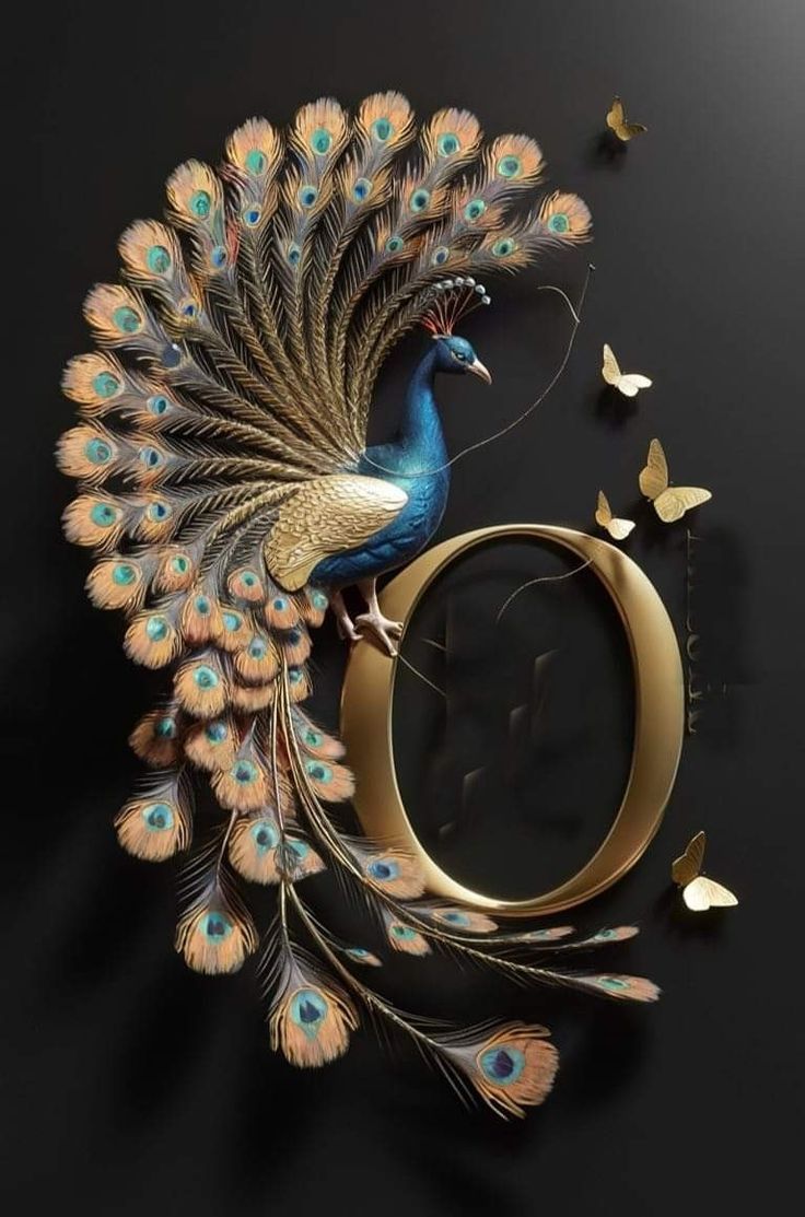 736x1113 Peacock wings wallpaper. Peacock with letter p, 3D peacock feather background, Alphabet art design