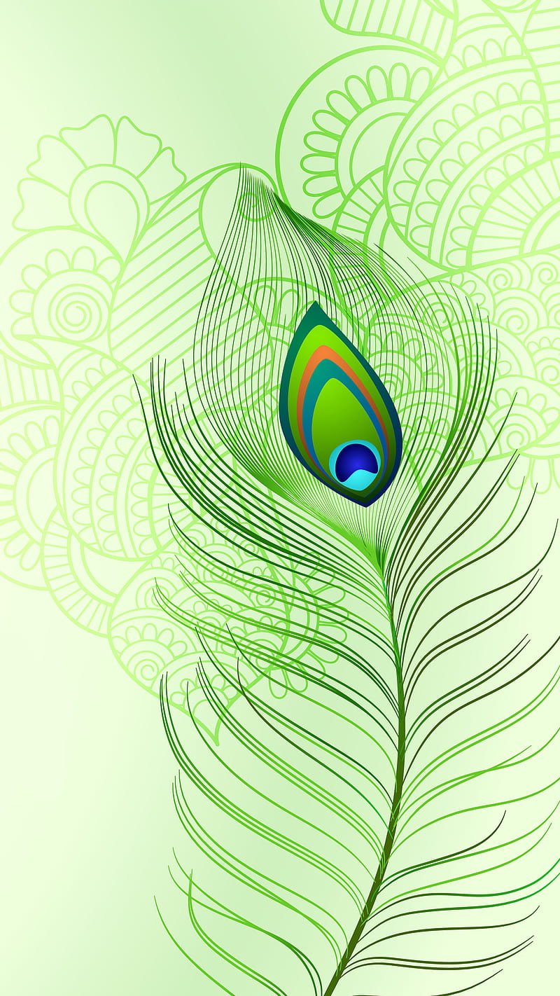 800x1422 Peacock Feather, Kiss, bonito, green, mandala, pretty, HD phone wallpaper