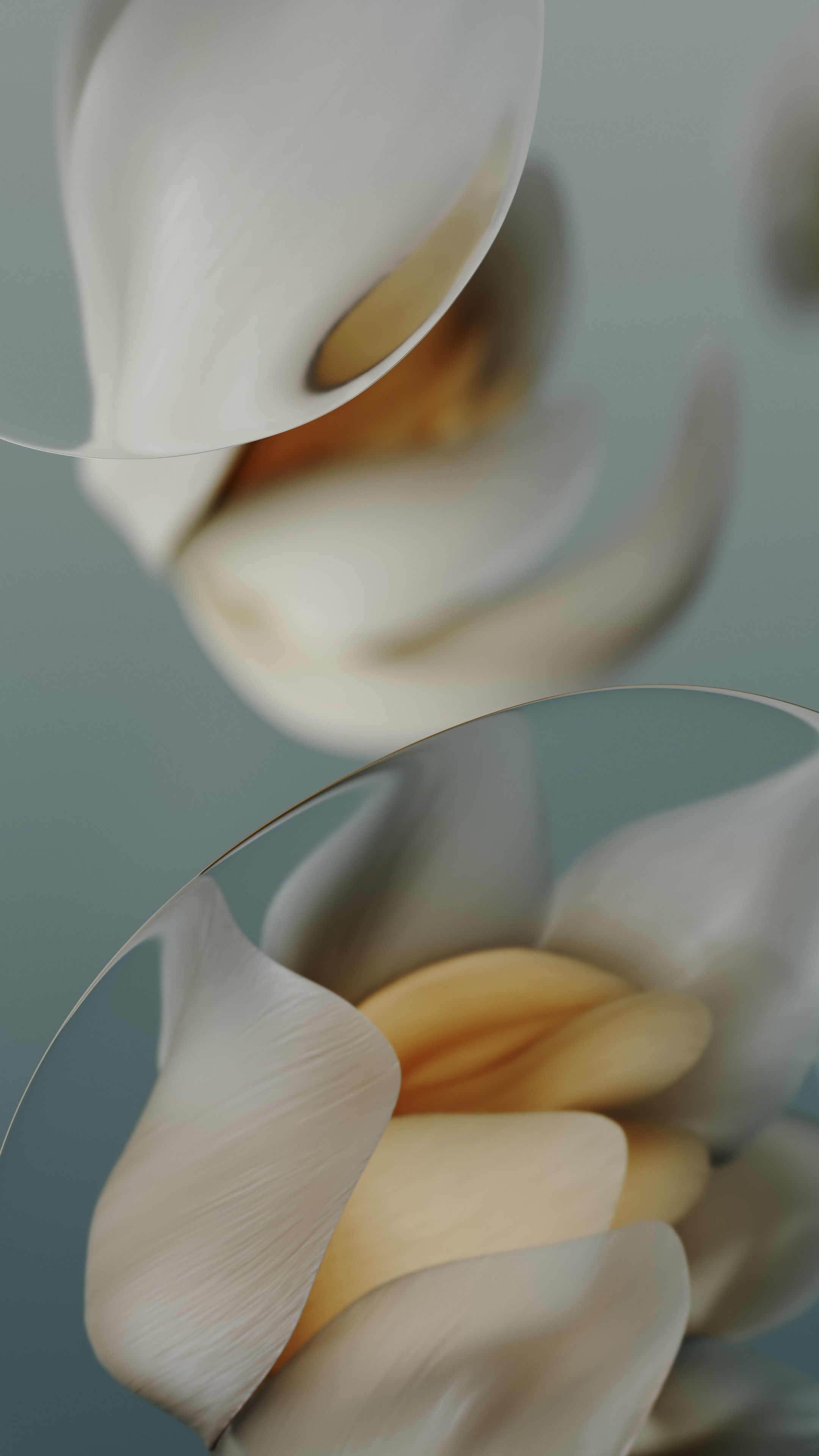 2160x3840 Google Pixel 9a Wallpaper 4K, Stock, 5K, Porcelain, Macro