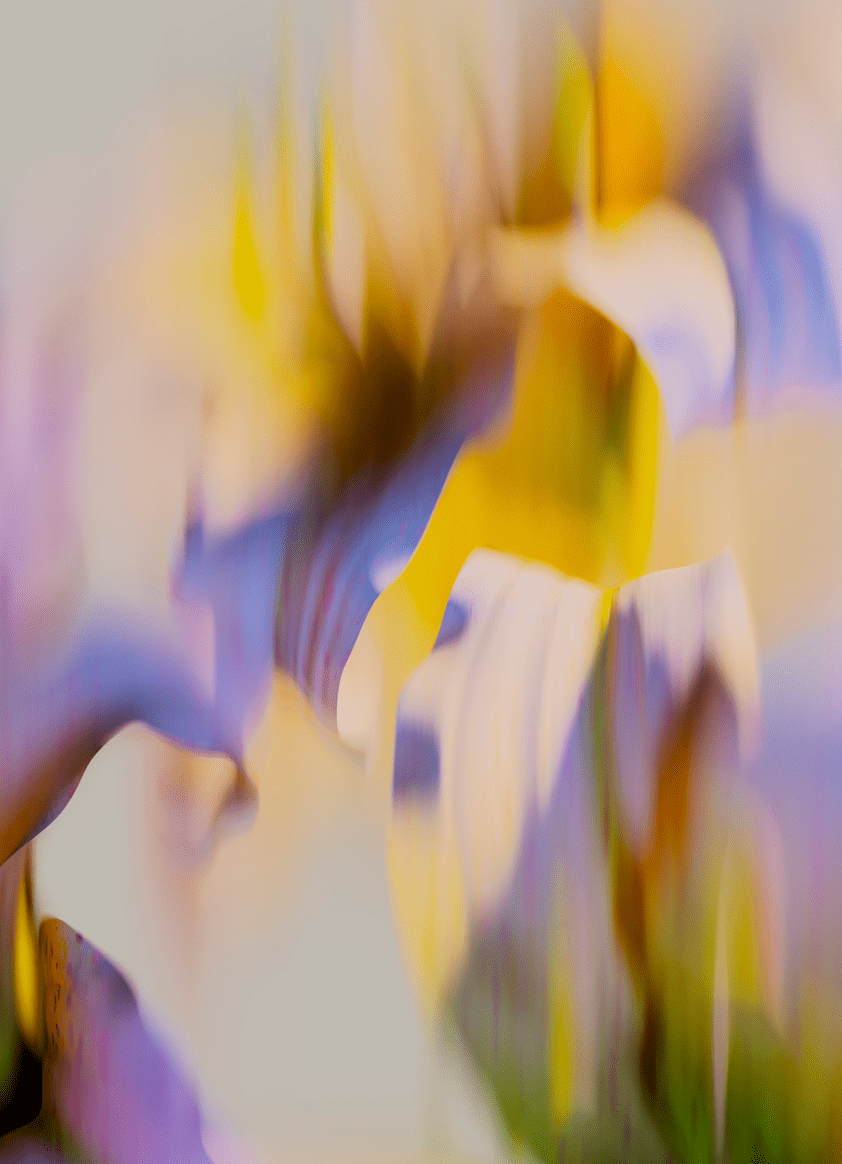 842x1164 The Pixel 9a's abstract, artsy wallpaper just leaked in full resolution