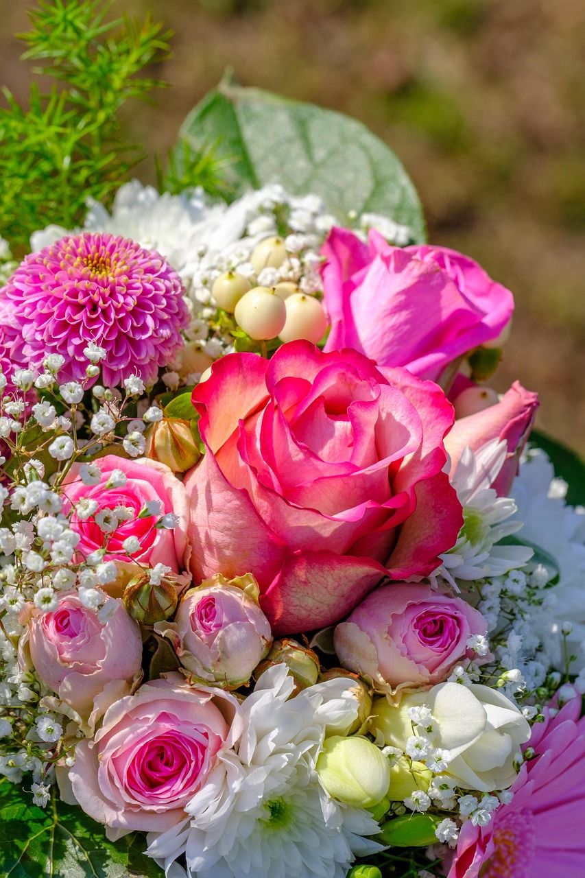 853x1280 Rose Bouquet Of Roses Bunch