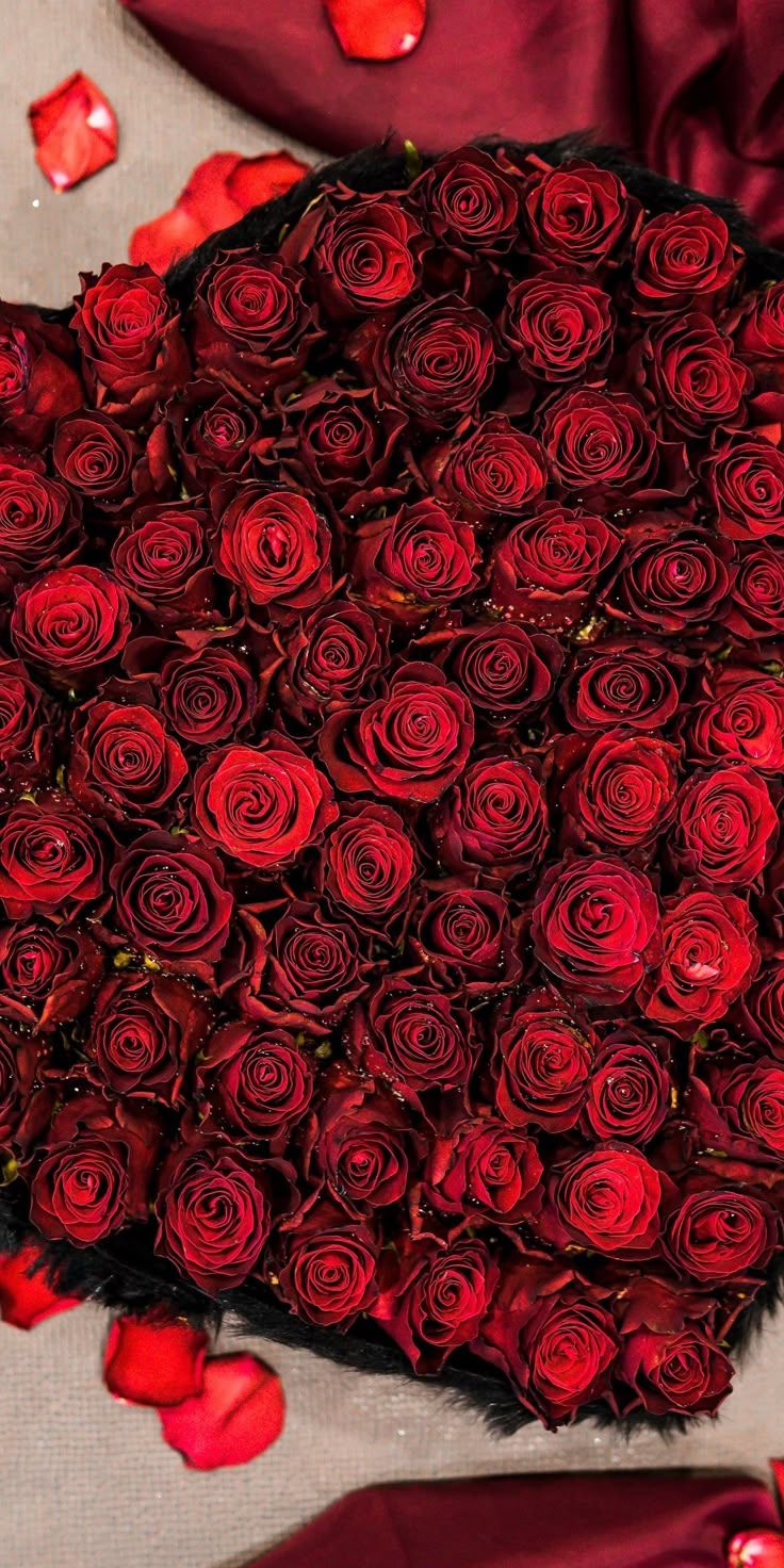 736x1472 Heart shape Bouquet, red roses, fresh, 1080x2160 wallpaper