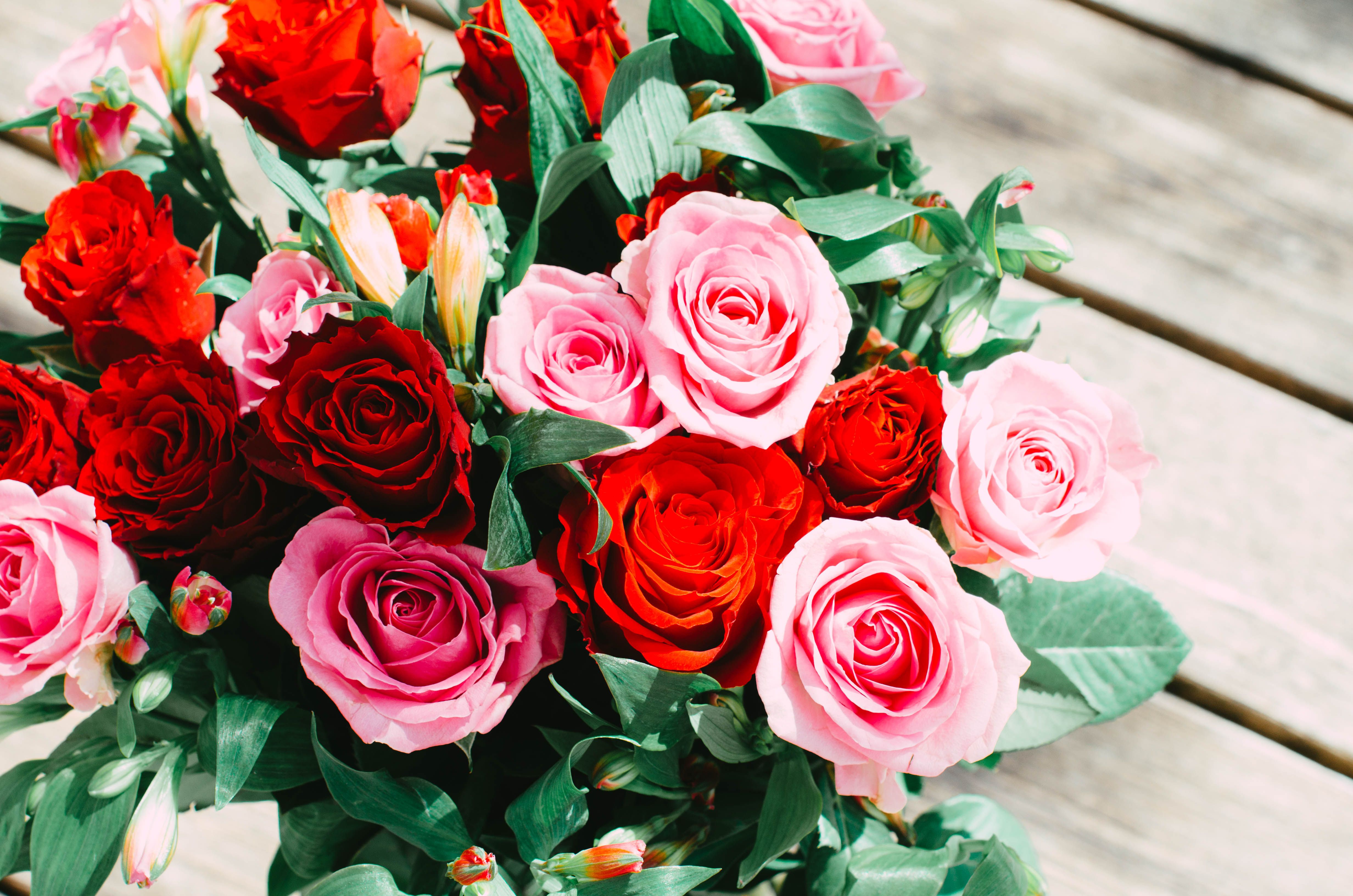 4928x3264 Rose Bundle Photo, Download The BEST Free Rose Bundle & HD Image
