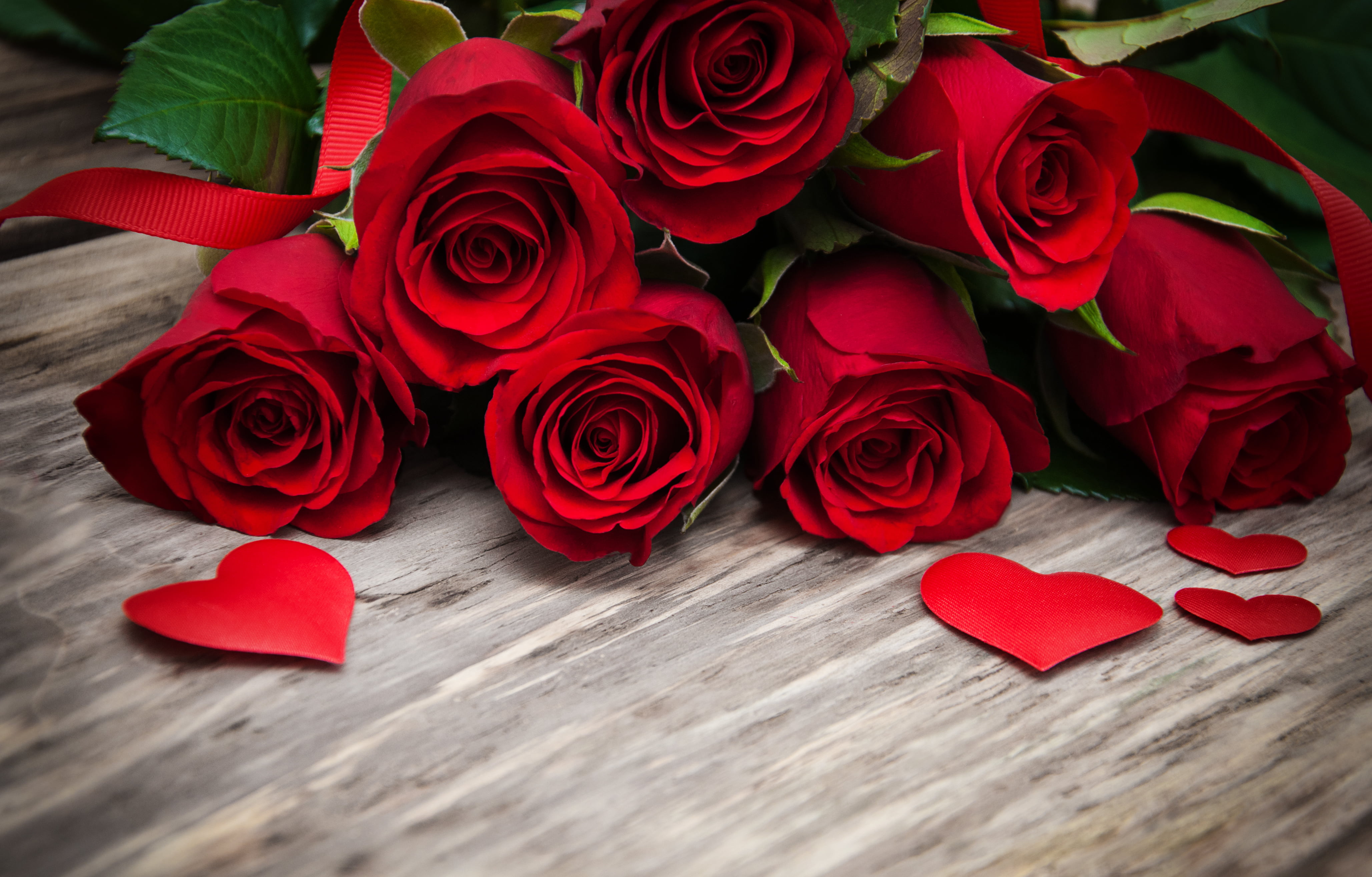 4114x2631 Red rose bouquet HD wallpaper