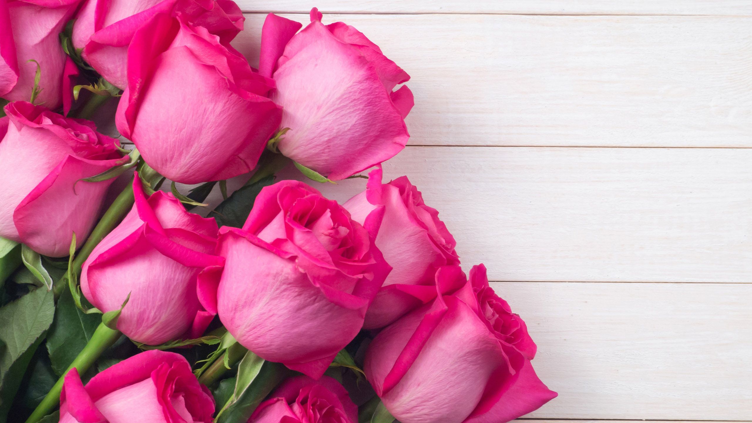 2560x1440 Bouquet Of Pink Rose Flowers In White Background HD Flowers Wallpaper
